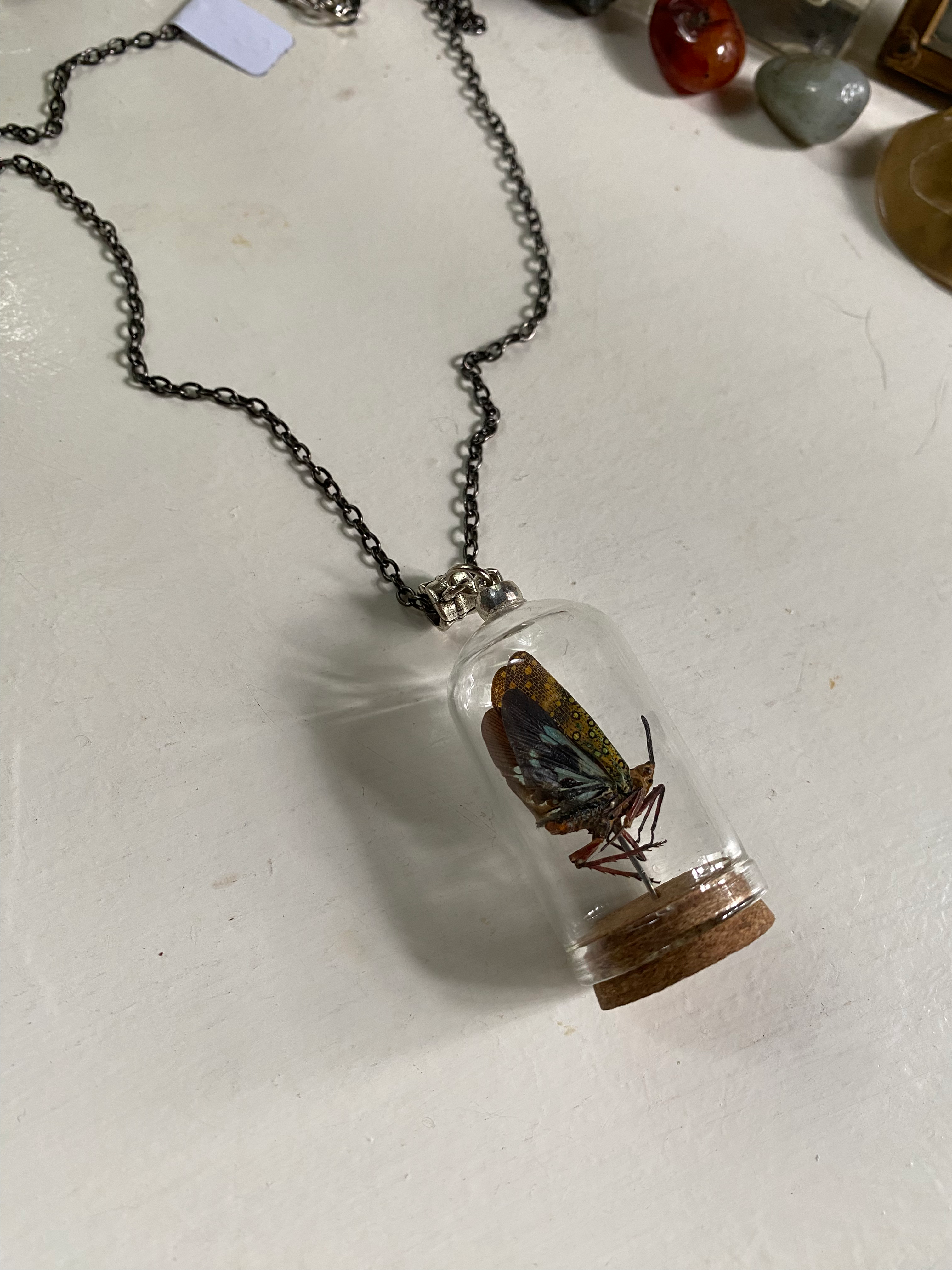 Long Nose Lantern Fly in Glass Dome Necklace image 0