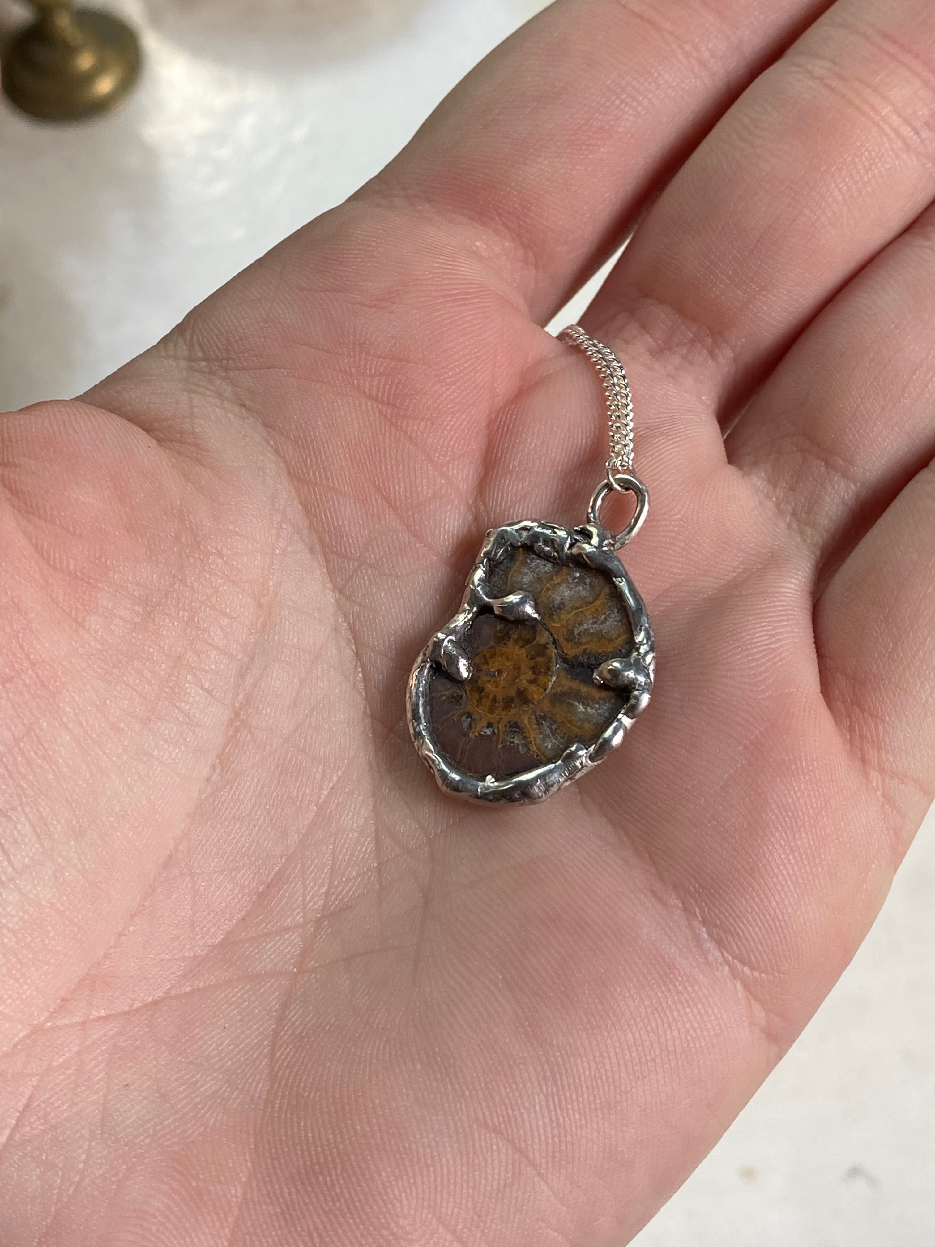 Fossil in Sterling Silver Frame Necklace image 3