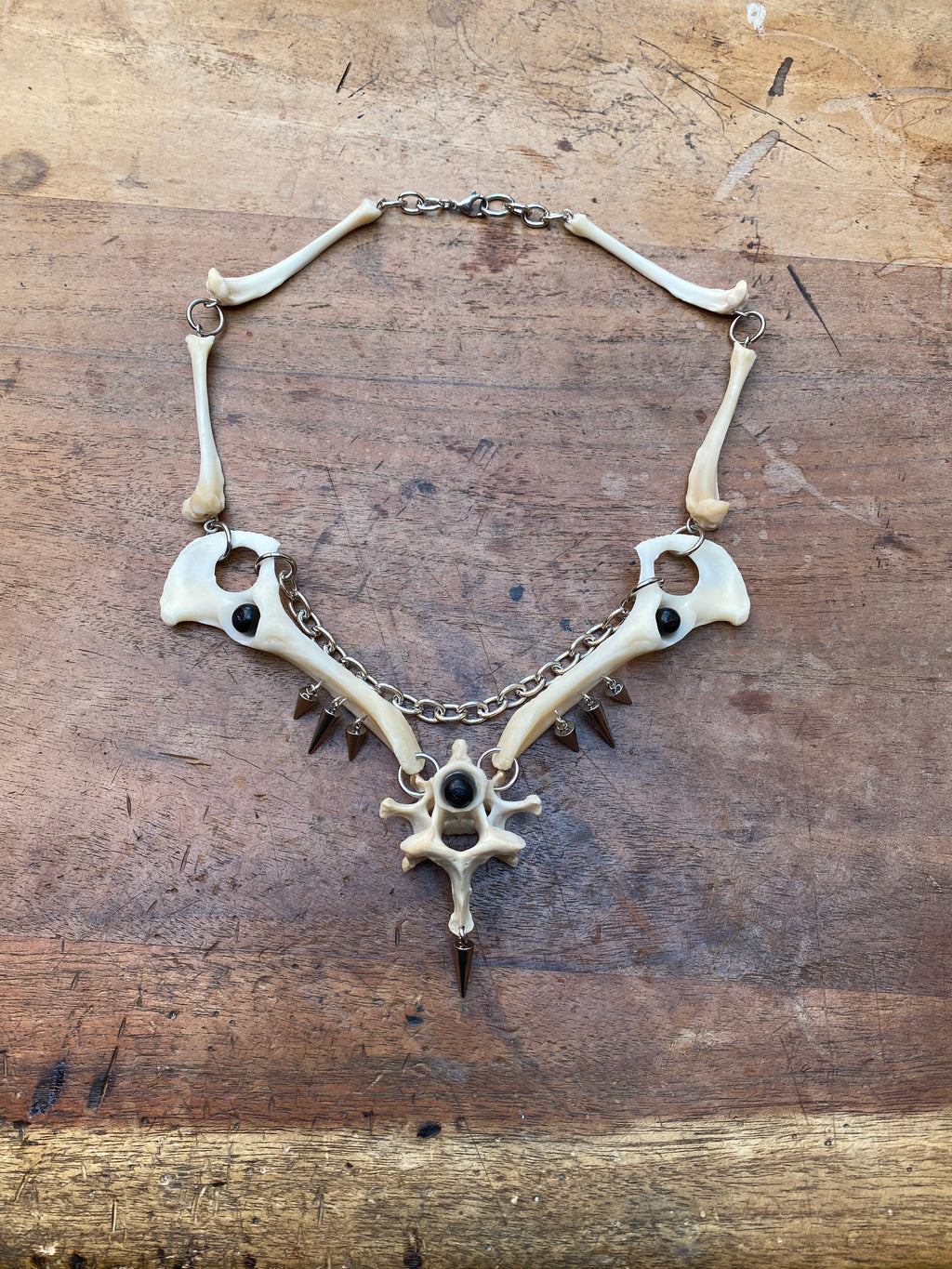 Fox Hip Bones, Femurs and Vertebrae Necklace