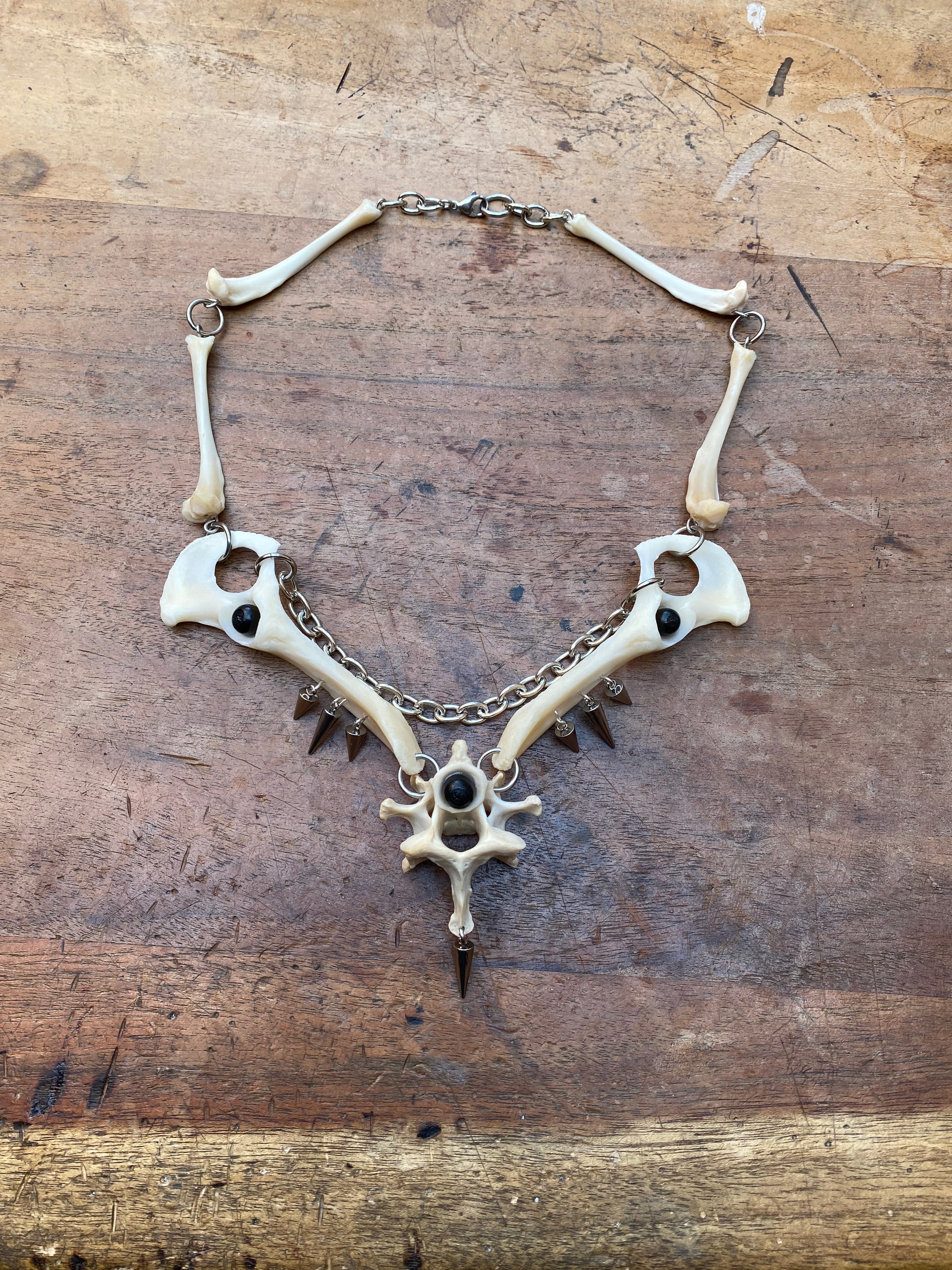 Fox Hip Bones, Femurs and Vertebrae Necklace