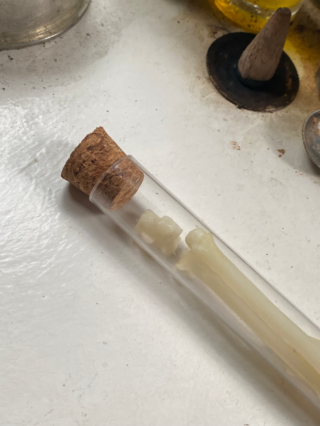Fox Bones in Glass Vial image 3