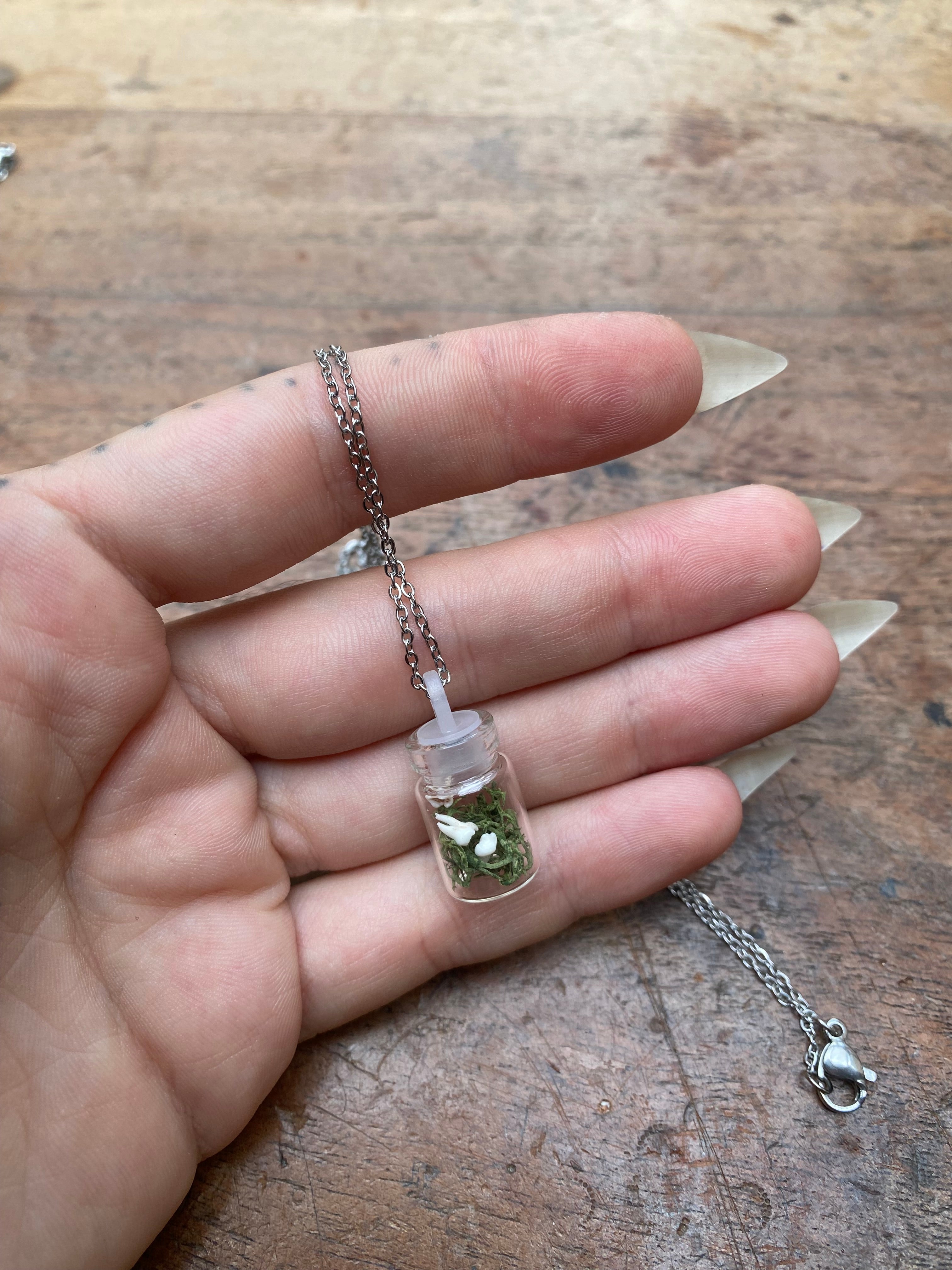 Tiny Squirrel Teeth in Glass Vial Necklace