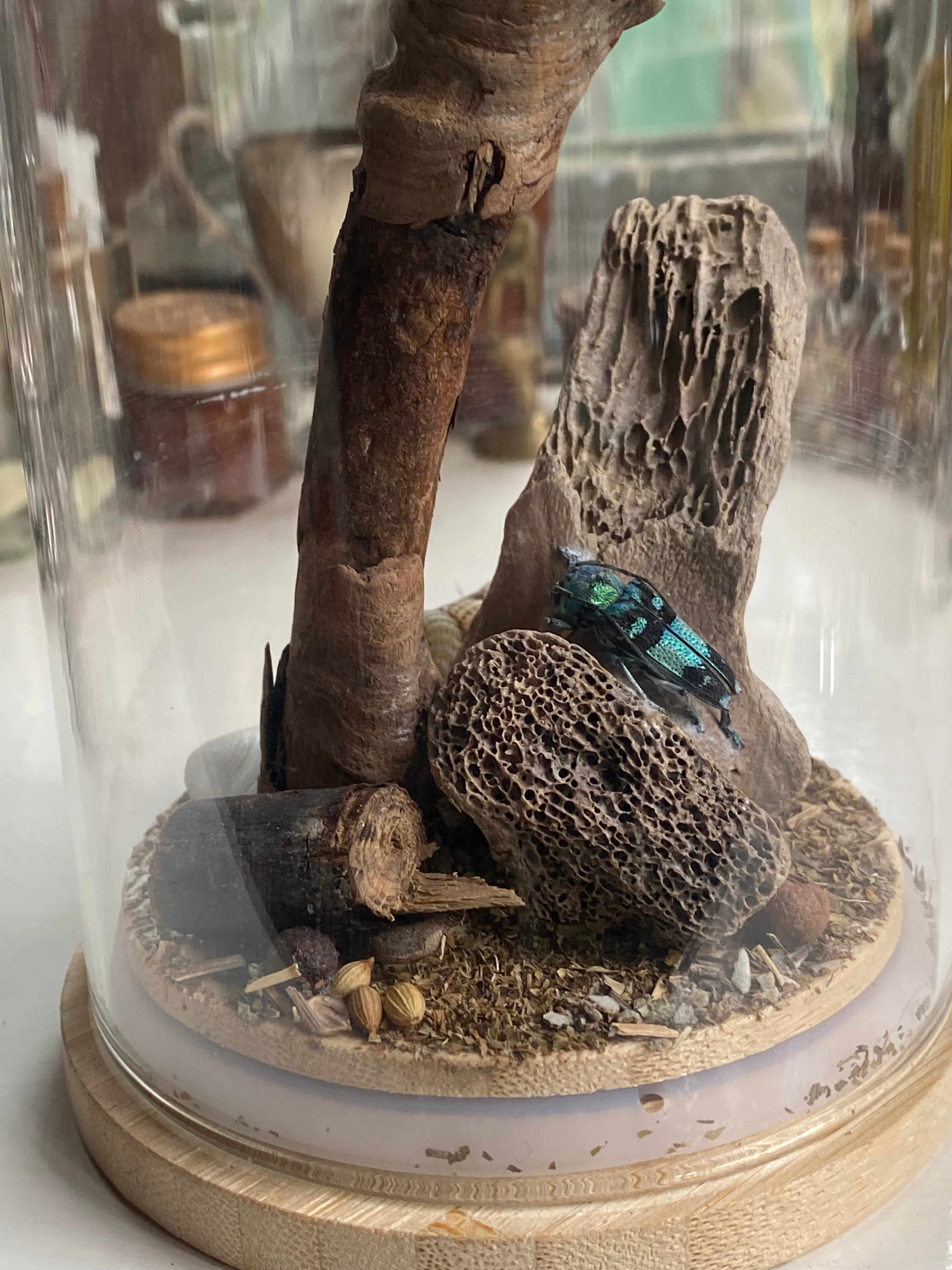 Blue Beetle Diorama image 1