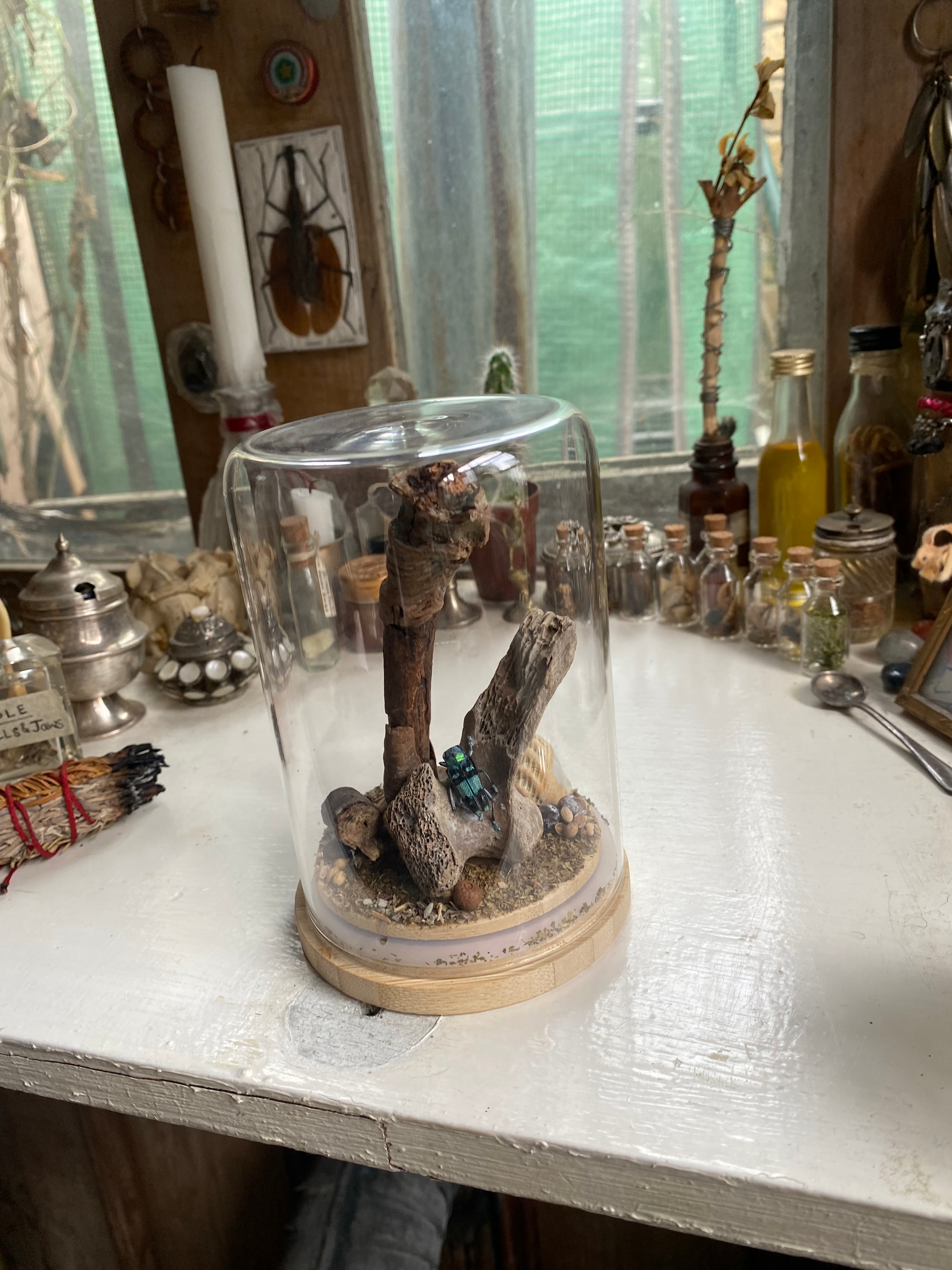 Blue Beetle Diorama image 4