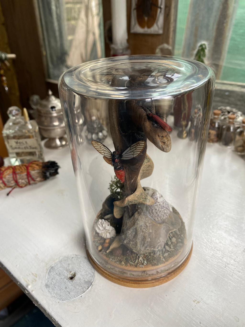 Moth, Beetle and Bone Diorama image 2