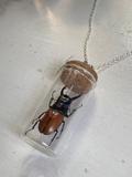 Beetle Taxidermy in Glass Jar Necklace image 0