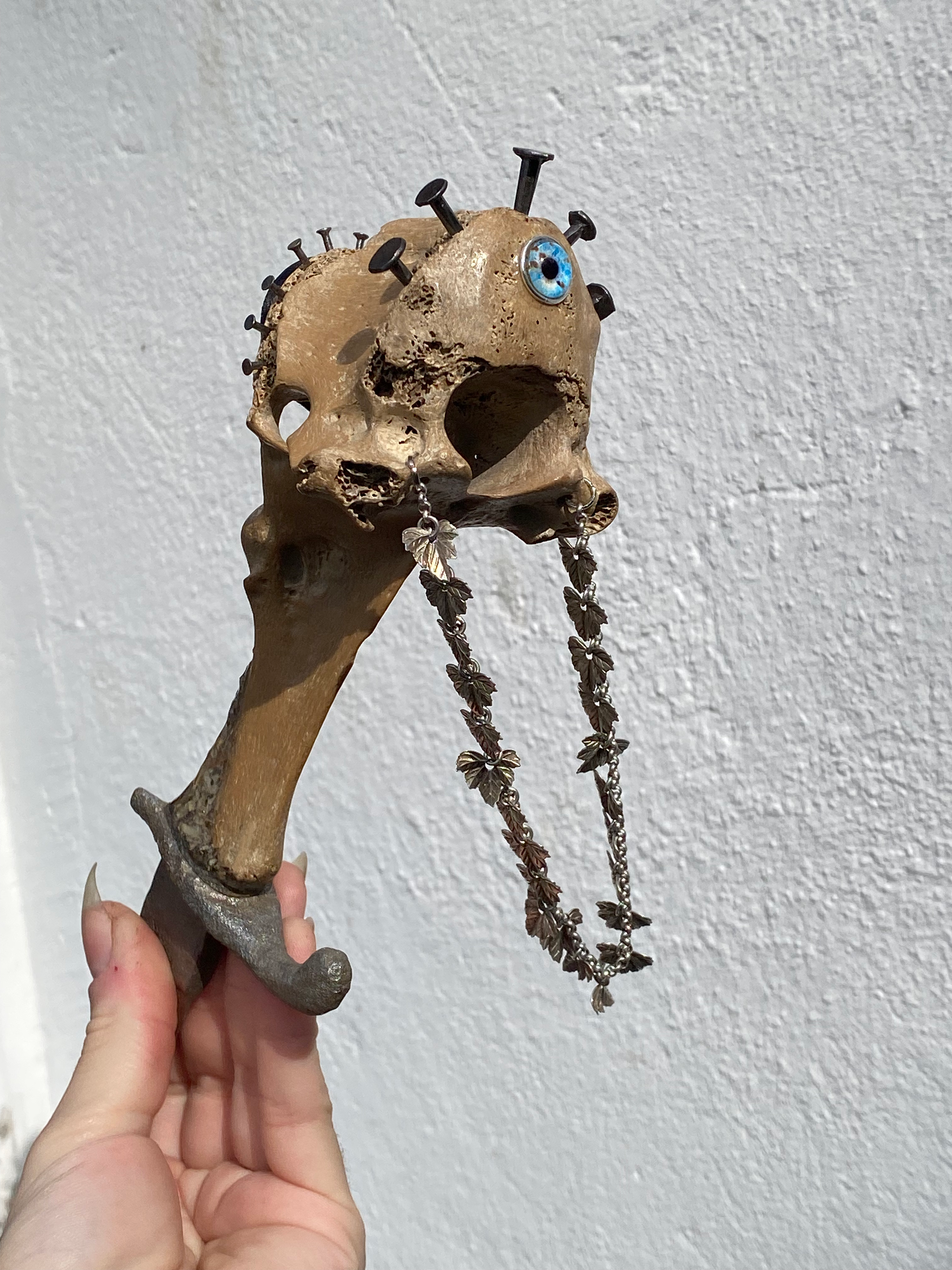 Large Vertibrae Sword with Blue Beetle, Coffins Nails, Silver Chain image 5