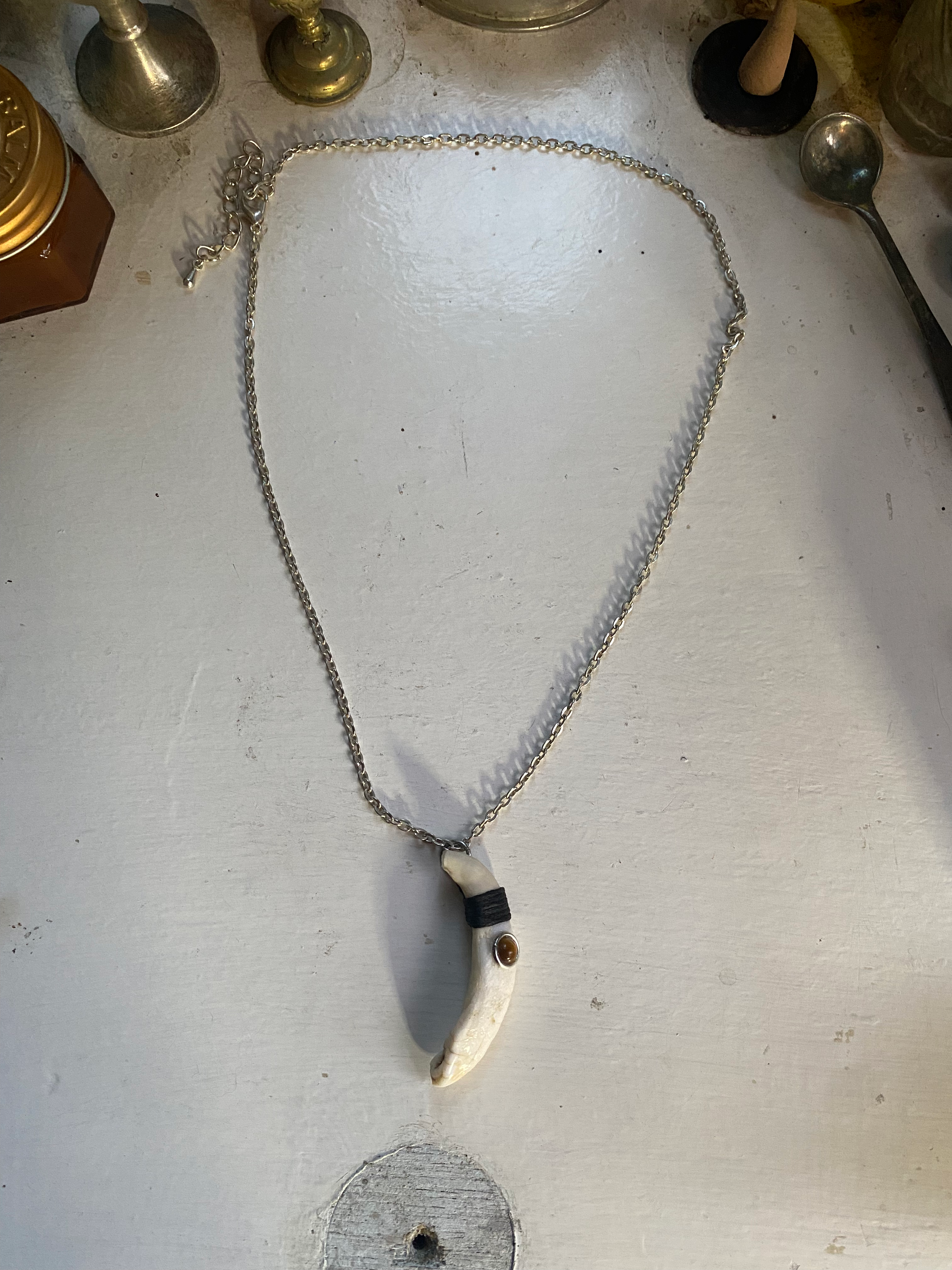 Wild Boar Tooth and Tiger Eye Necklace image 1