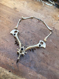Fox Hip Bones, Femurs and Vertebrae Necklace