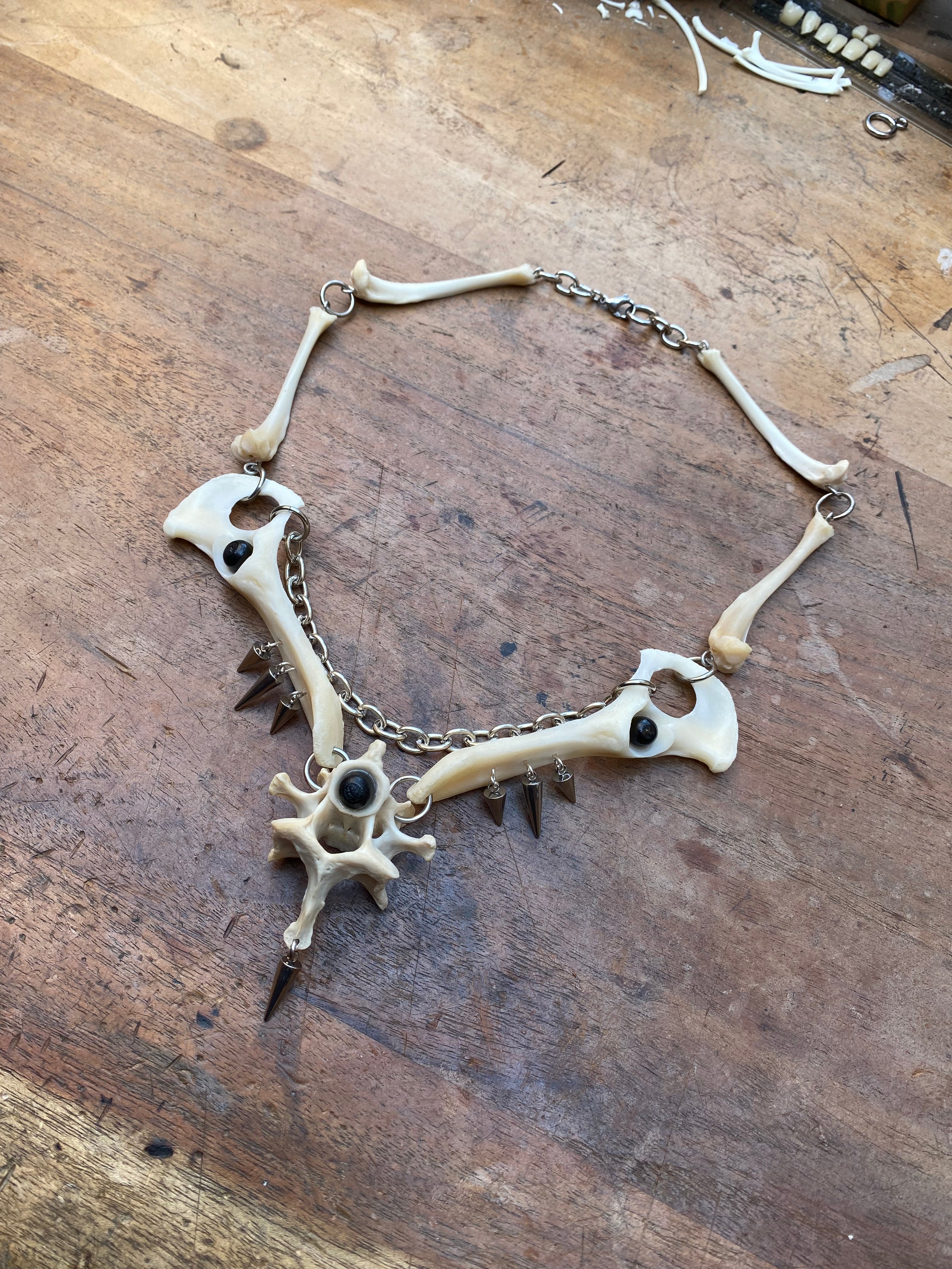 Fox Hip Bones, Femurs and Vertebrae Necklace