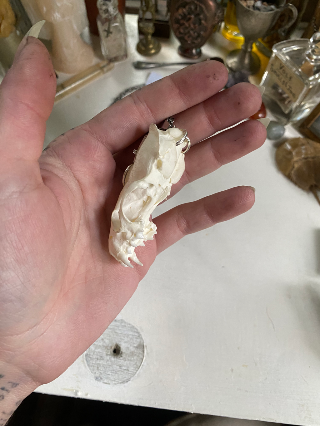 Mink Skull with Inverted Cross and Eye Necklace image 2