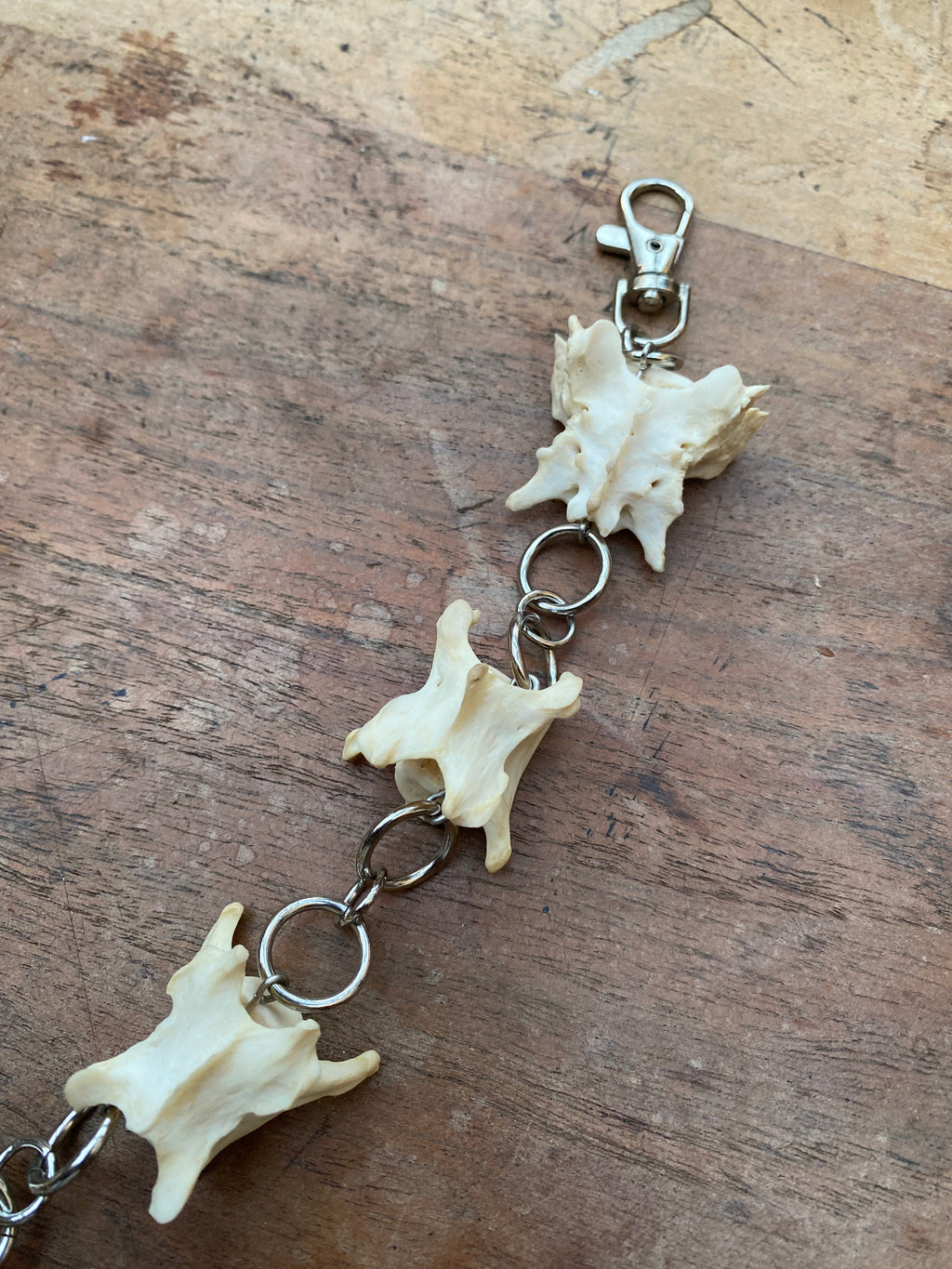 Fox Vertebrae Belt Chain or Necklace