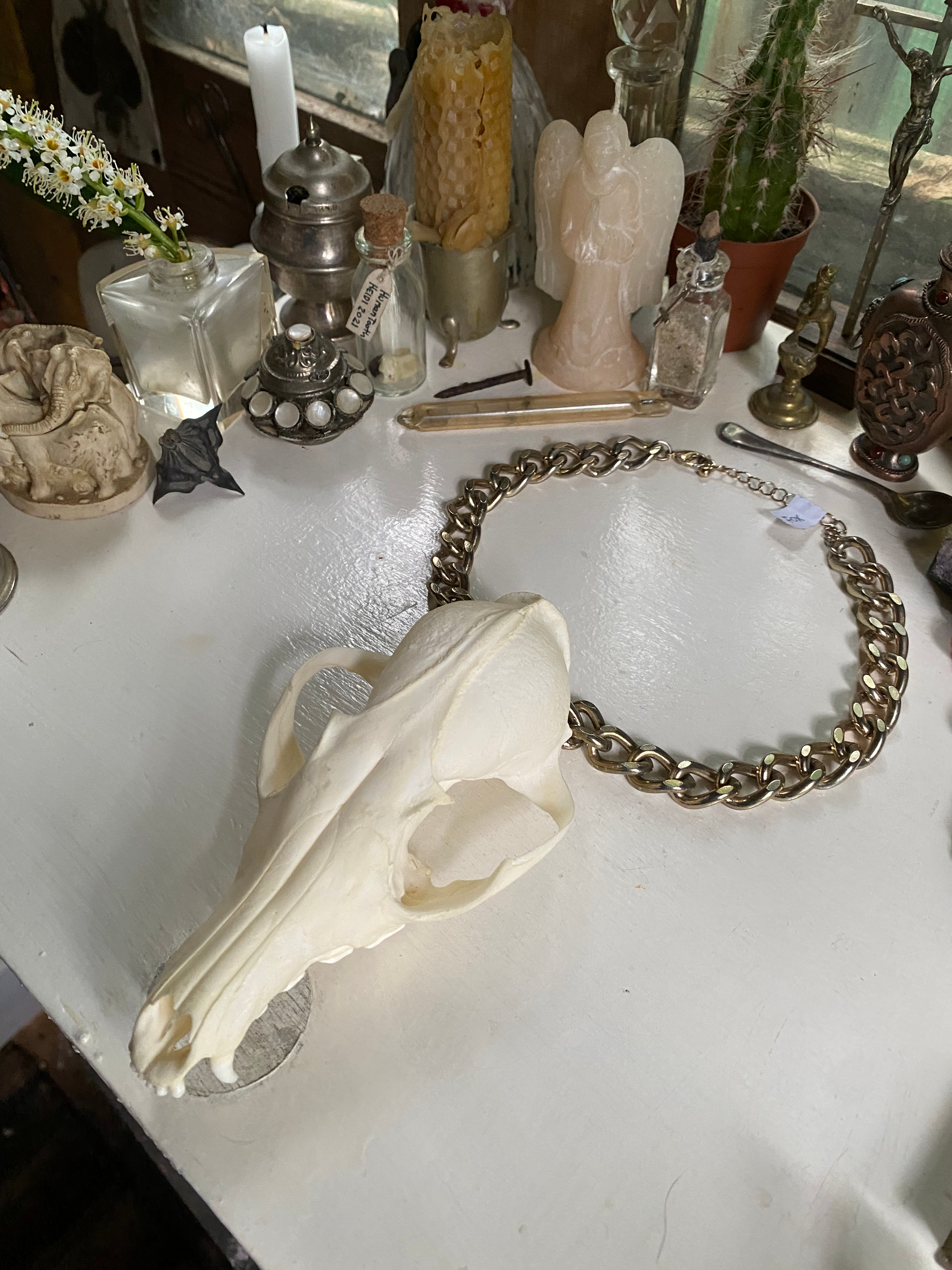 Large Fox Skull on Bronze Colour Chain image 3