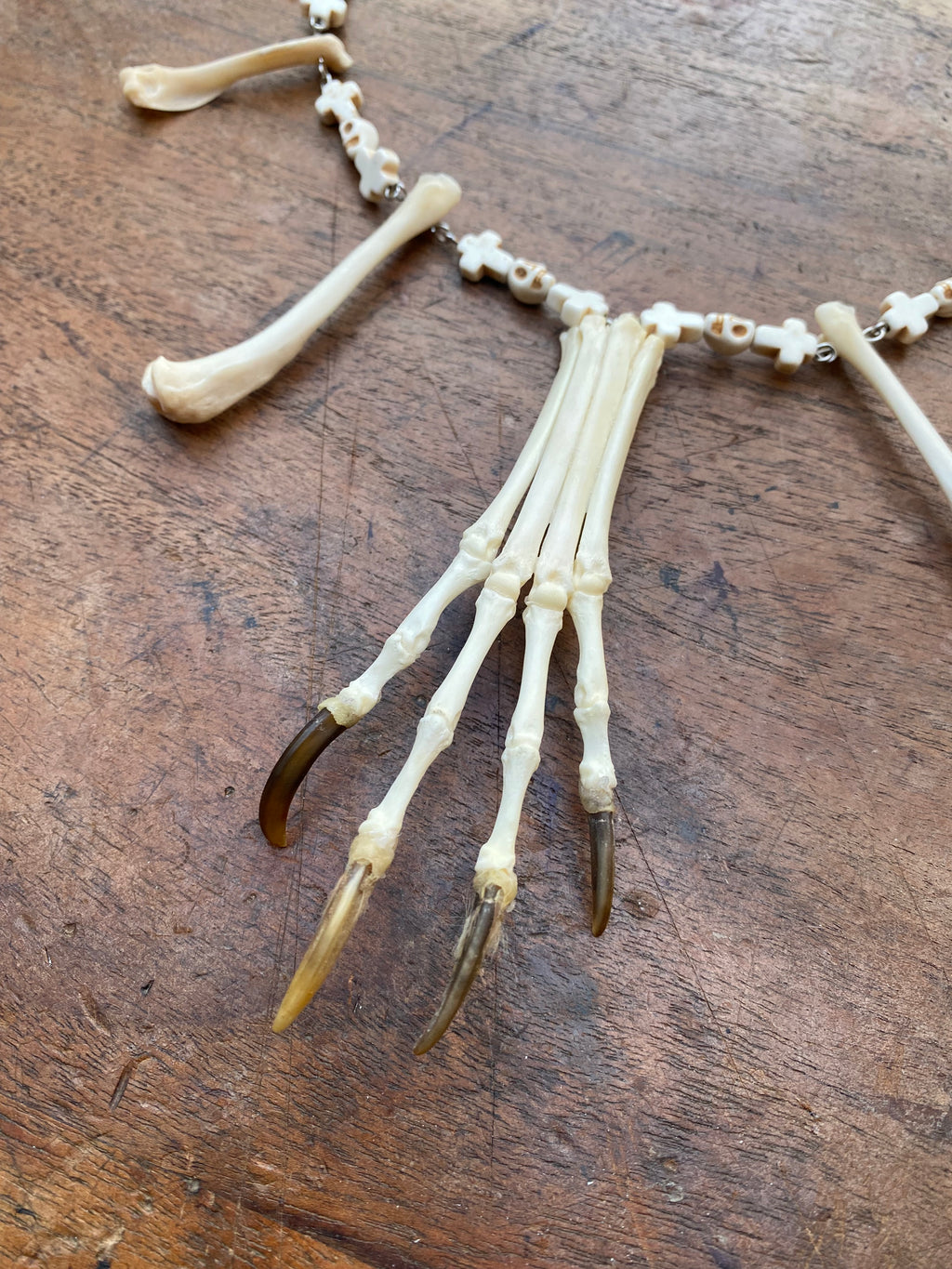 Fox Paw Bones and Squirrel Femurs Necklace
