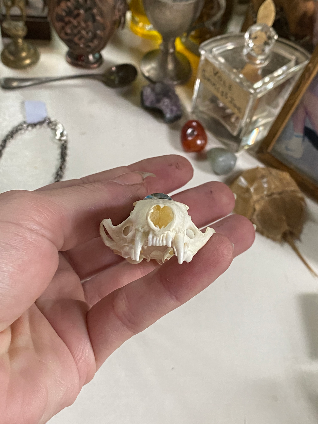 Mink Skull with Inverted Cross and Eye Necklace image 5