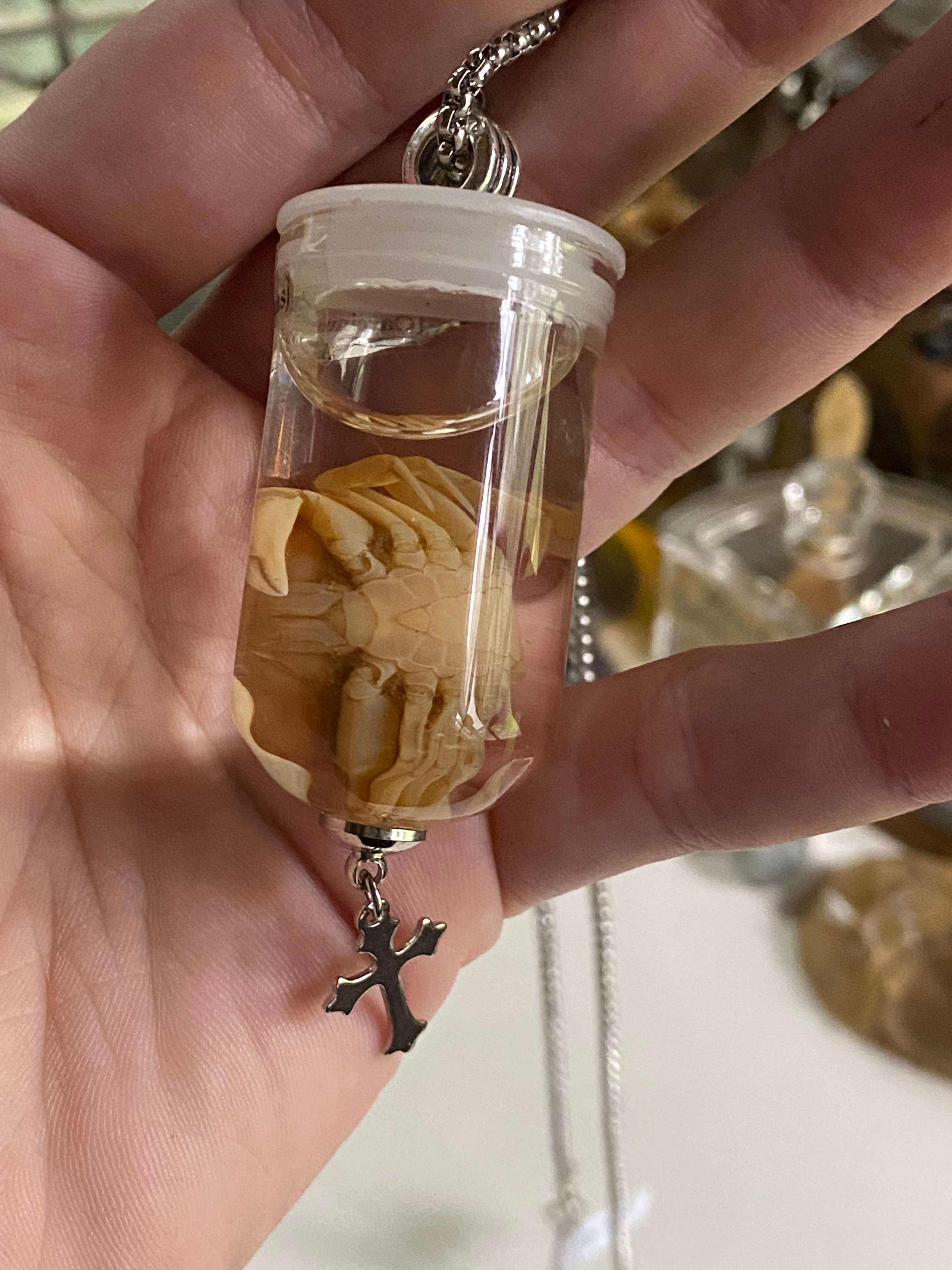 Shore Crab Wet Specimen in Glass Necklace image 3