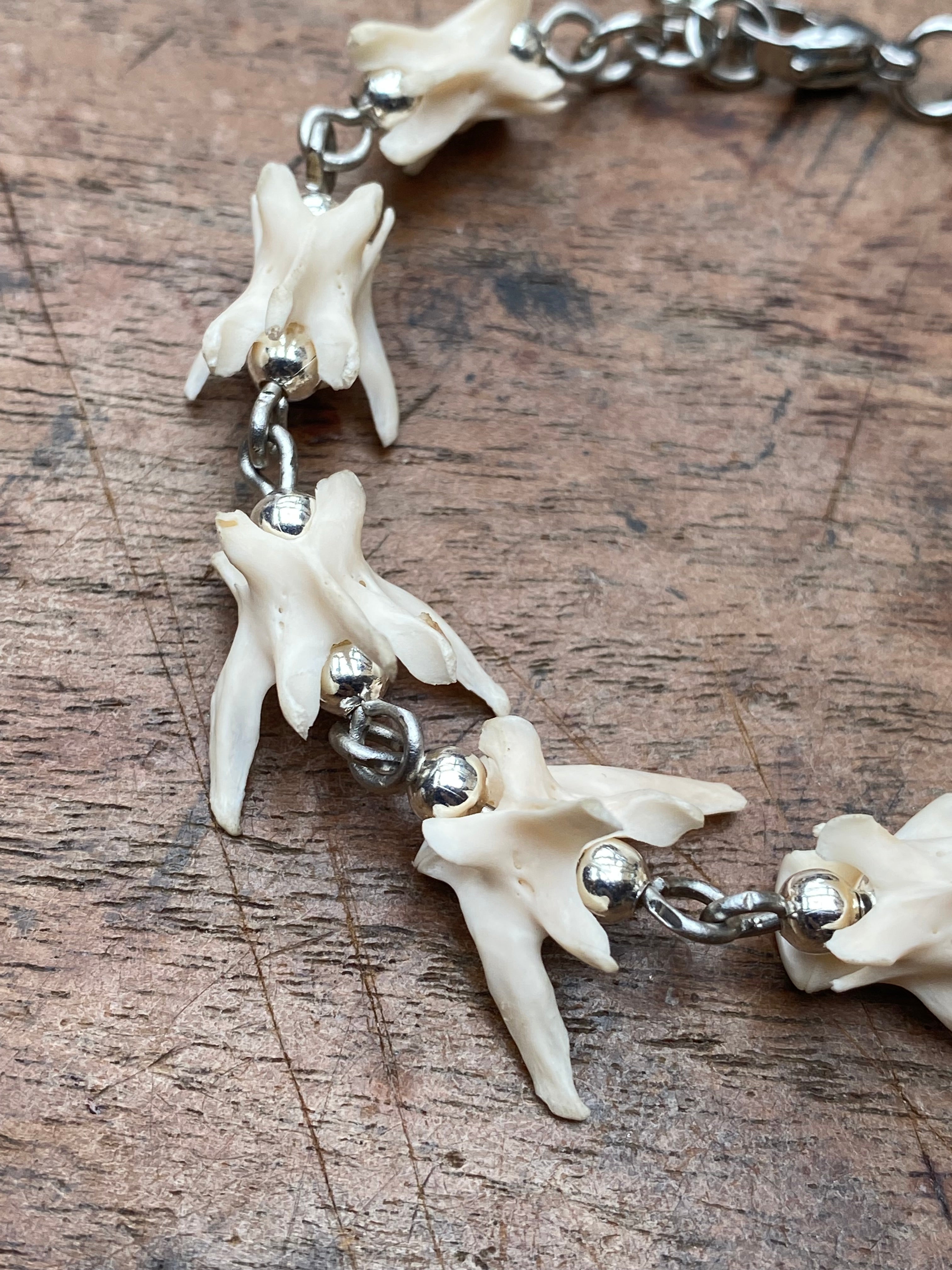 Squirrel Vertibrae Bracelet
