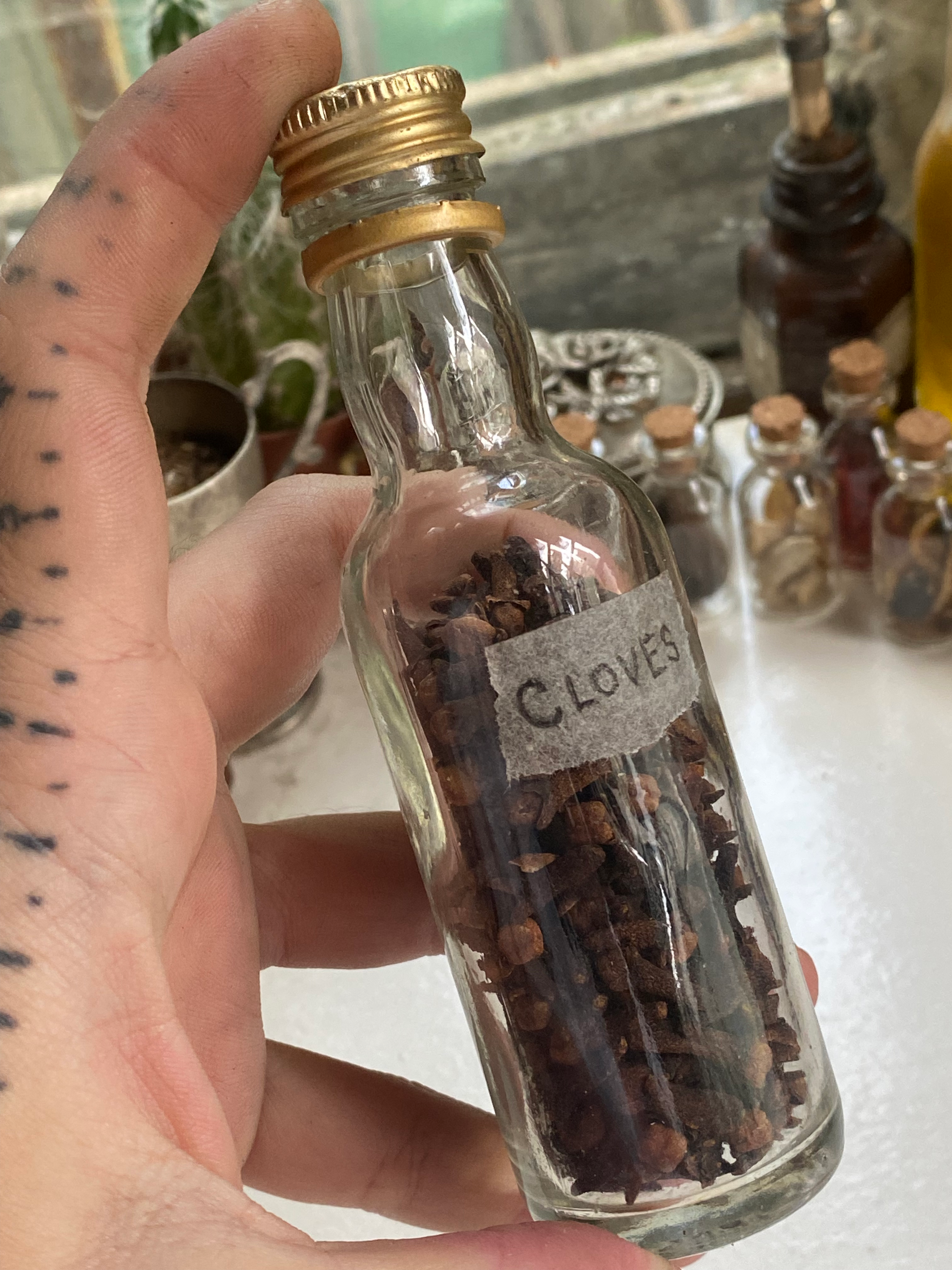 Cloves in Glass Bottle image 3