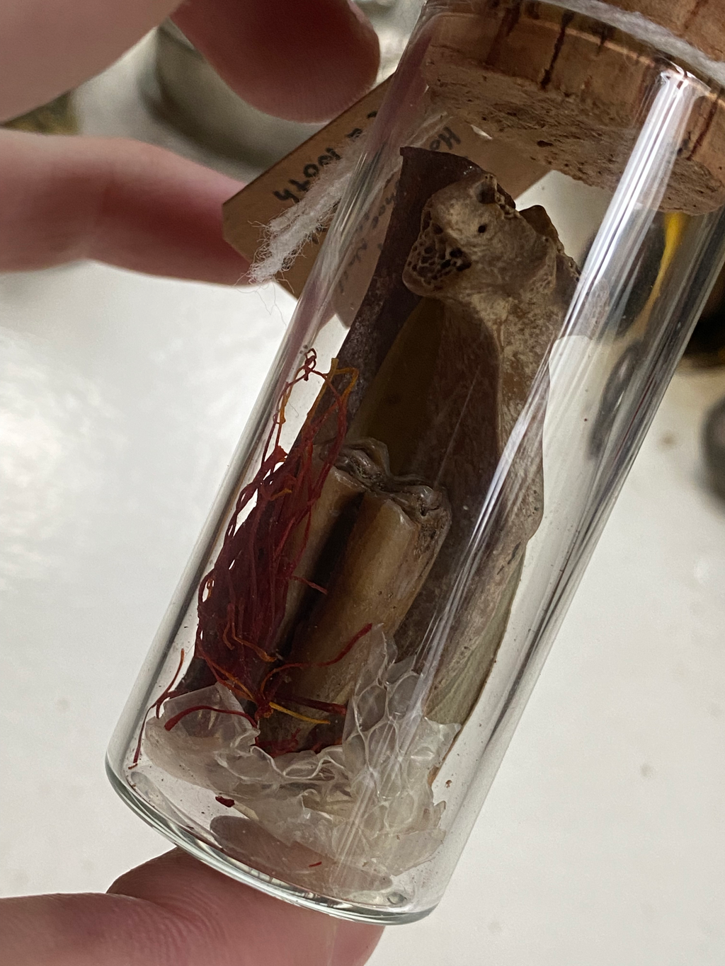 Oddity Filled Glass Jar image 4