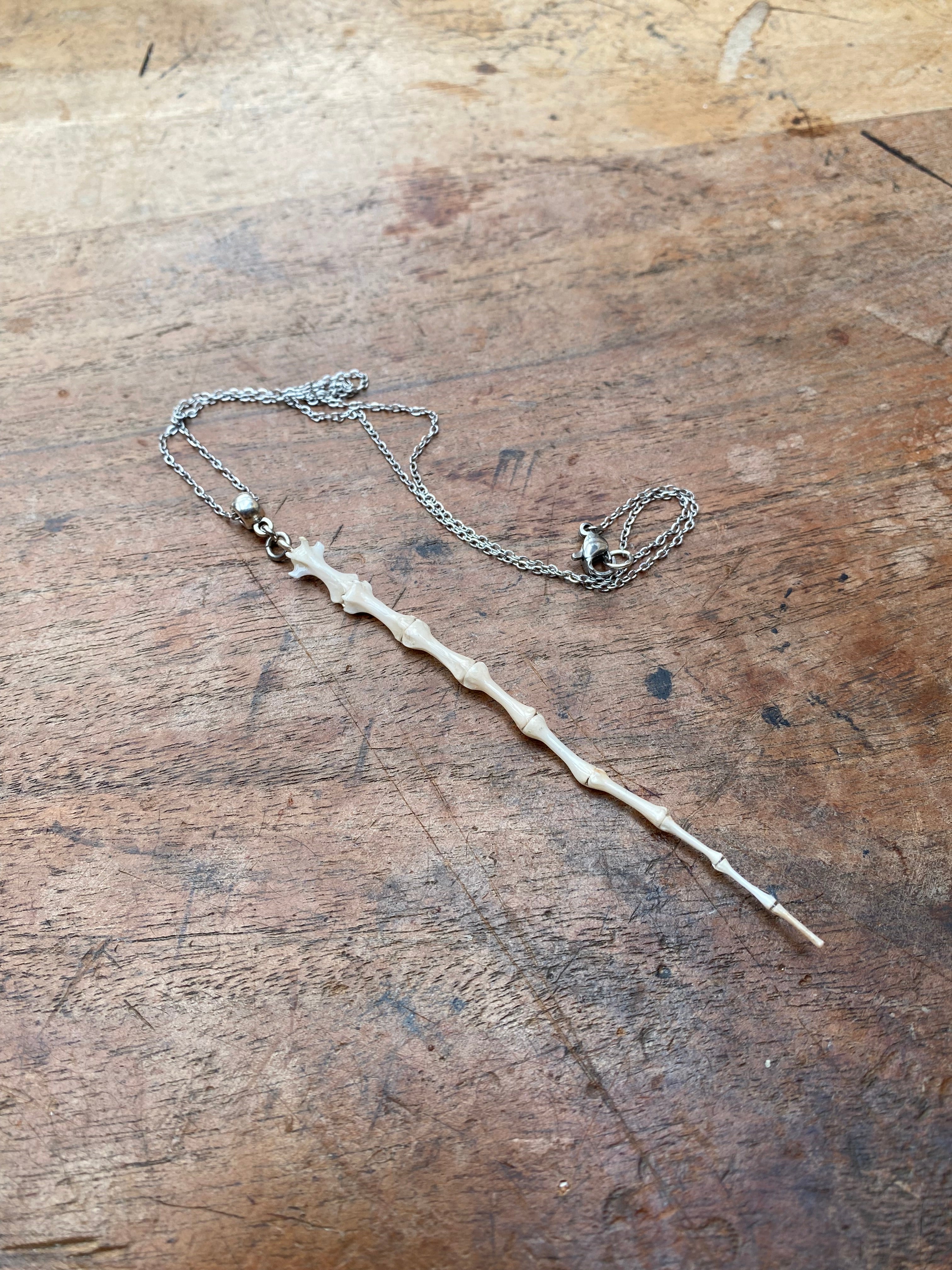 Complete Squirrel Tail Bones Pendant Necklace