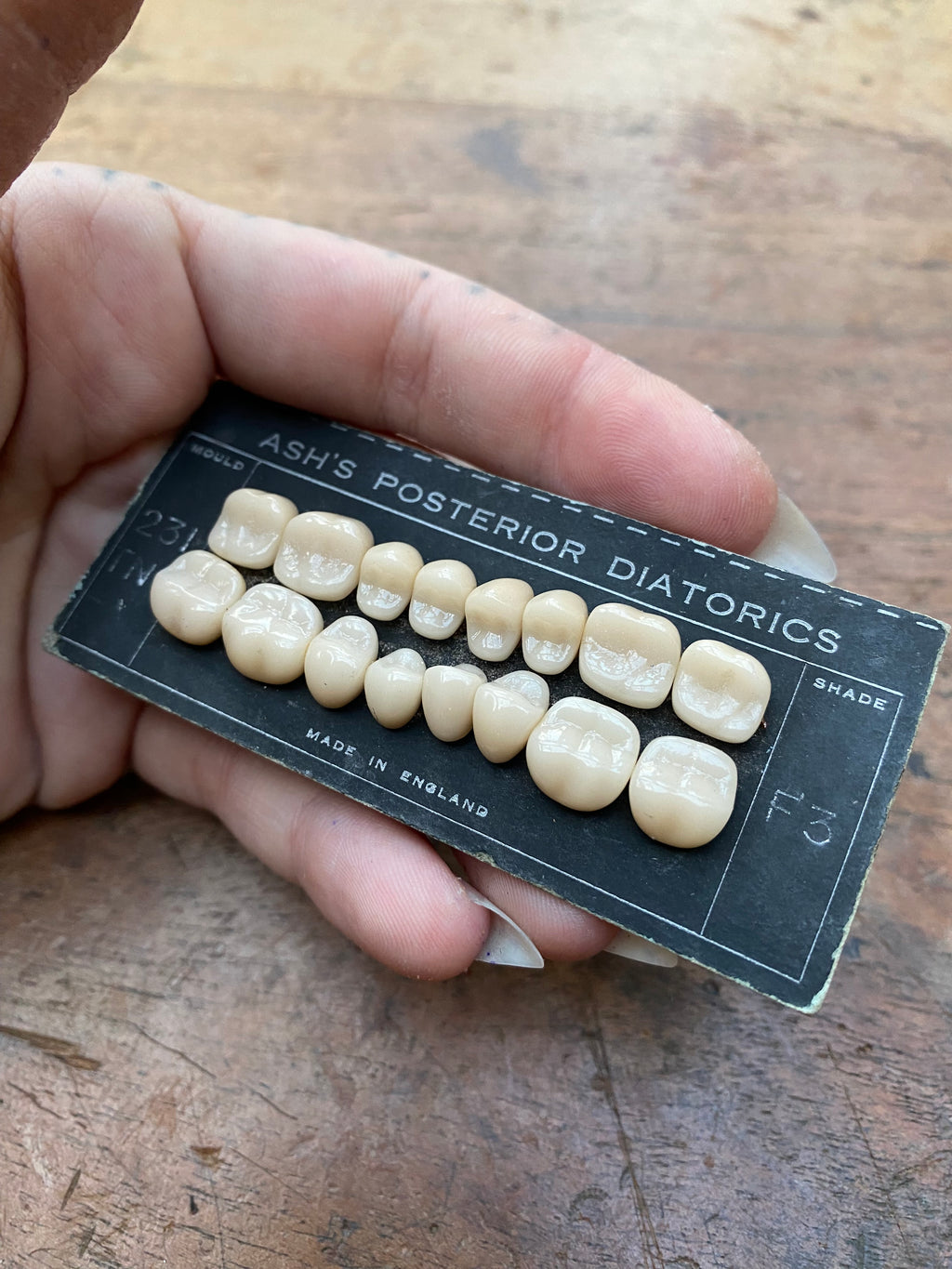 Antique Porcelain Ceramic Dentist Teeth
