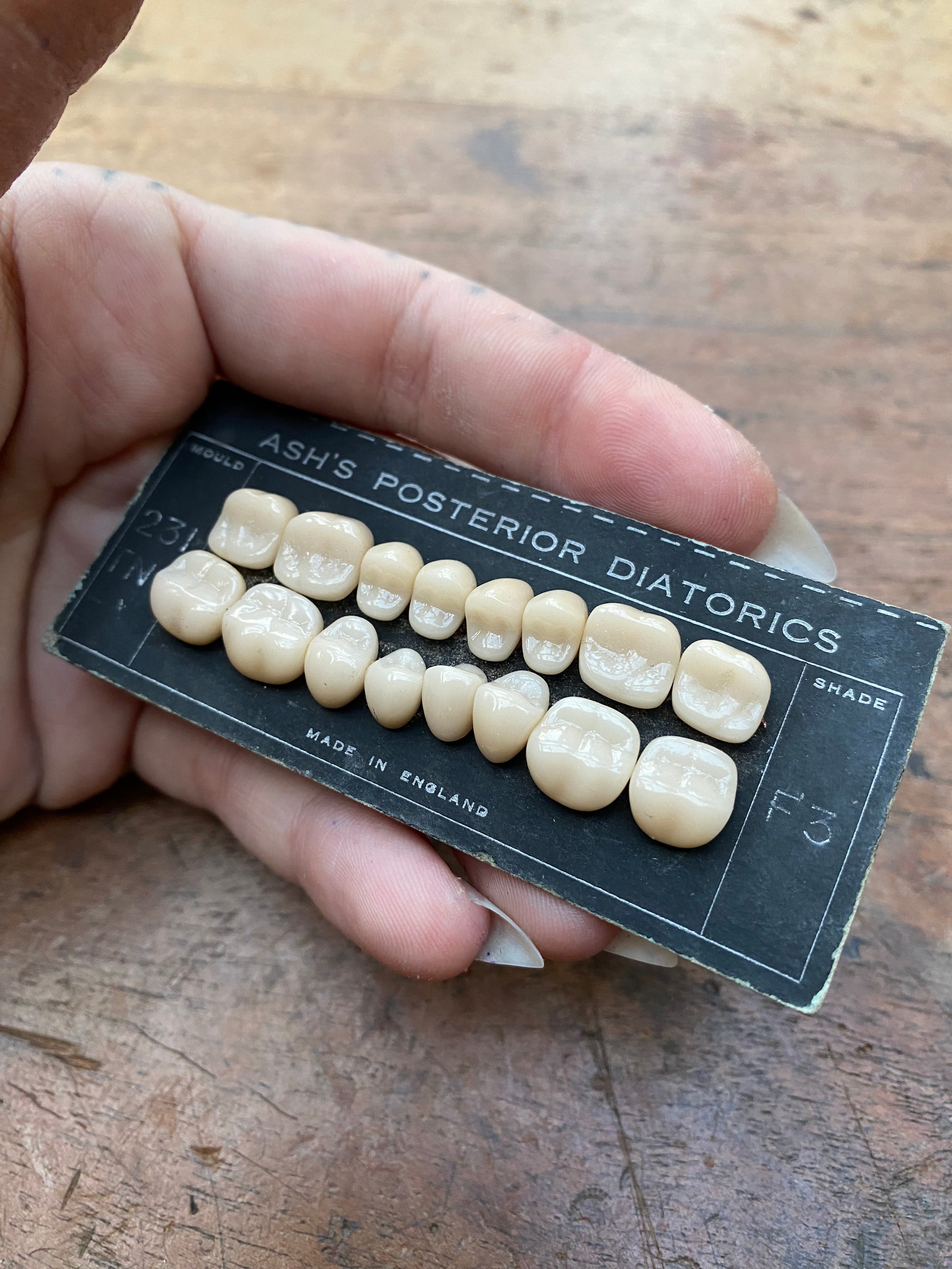 Antique Porcelain Ceramic Dentist Teeth