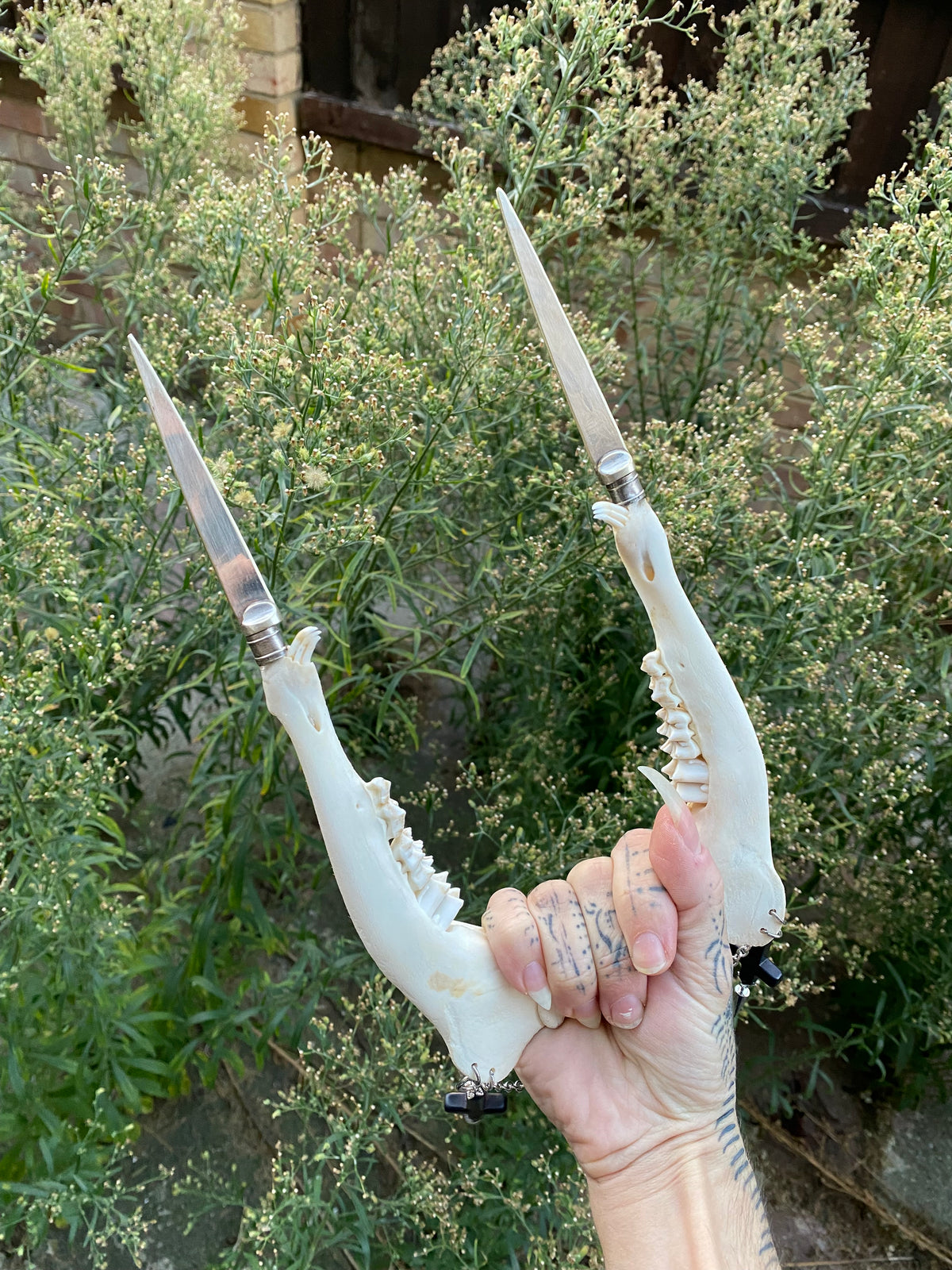 Double Deer Jaw Dagger with Inverted Crosses and Chain