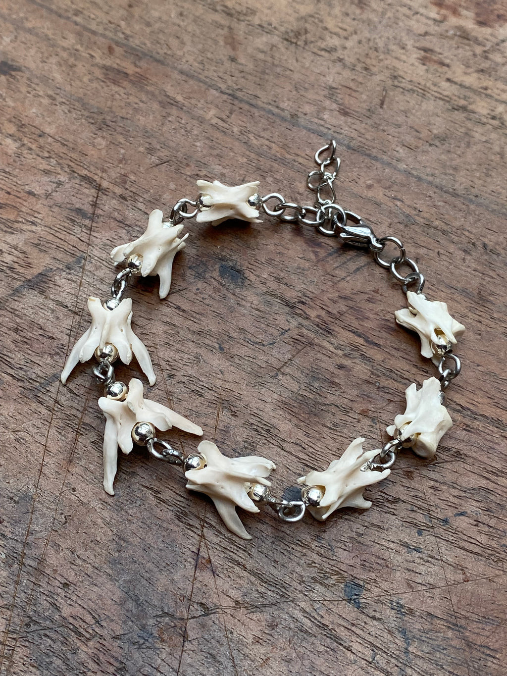 Squirrel Vertibrae Bracelet