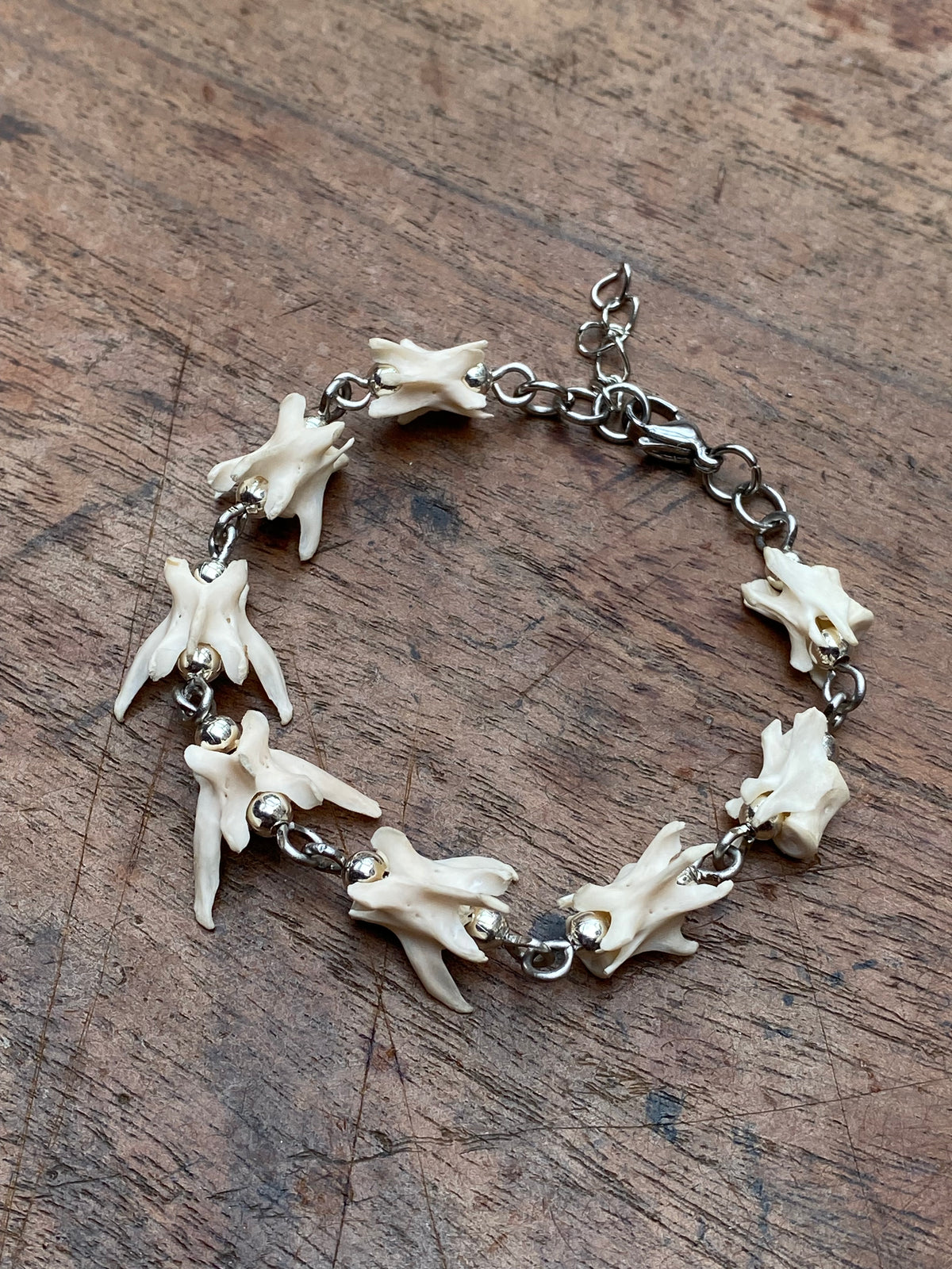 Squirrel Vertibrae Bracelet