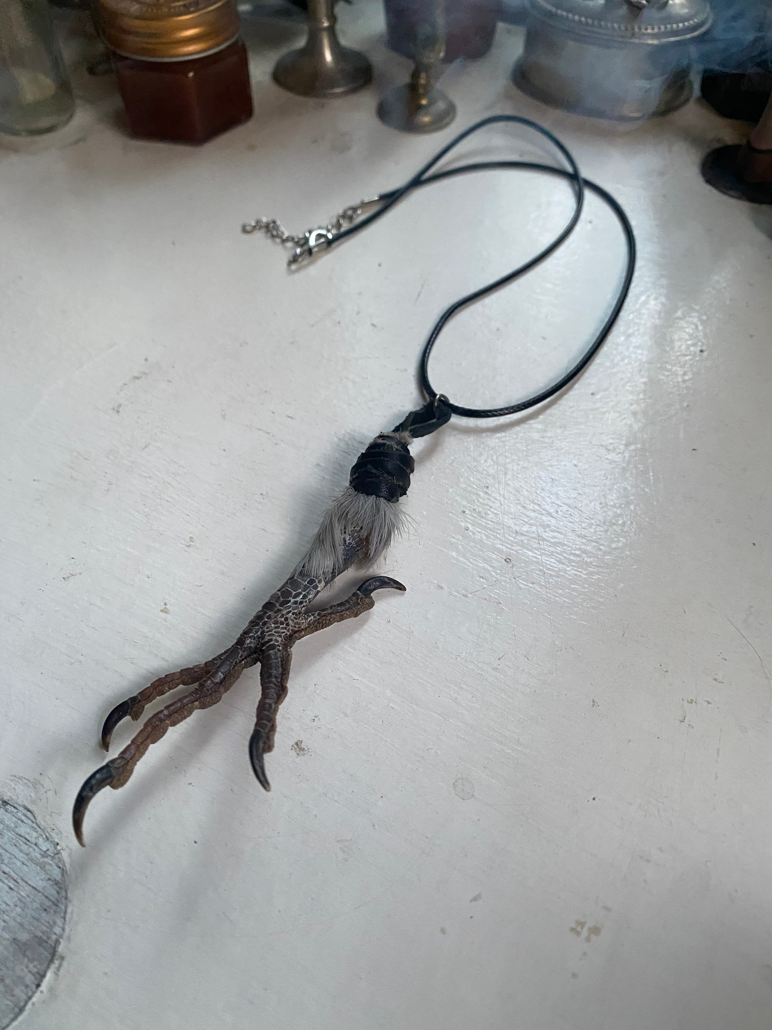 Bird Foot Leather Necklace image 0