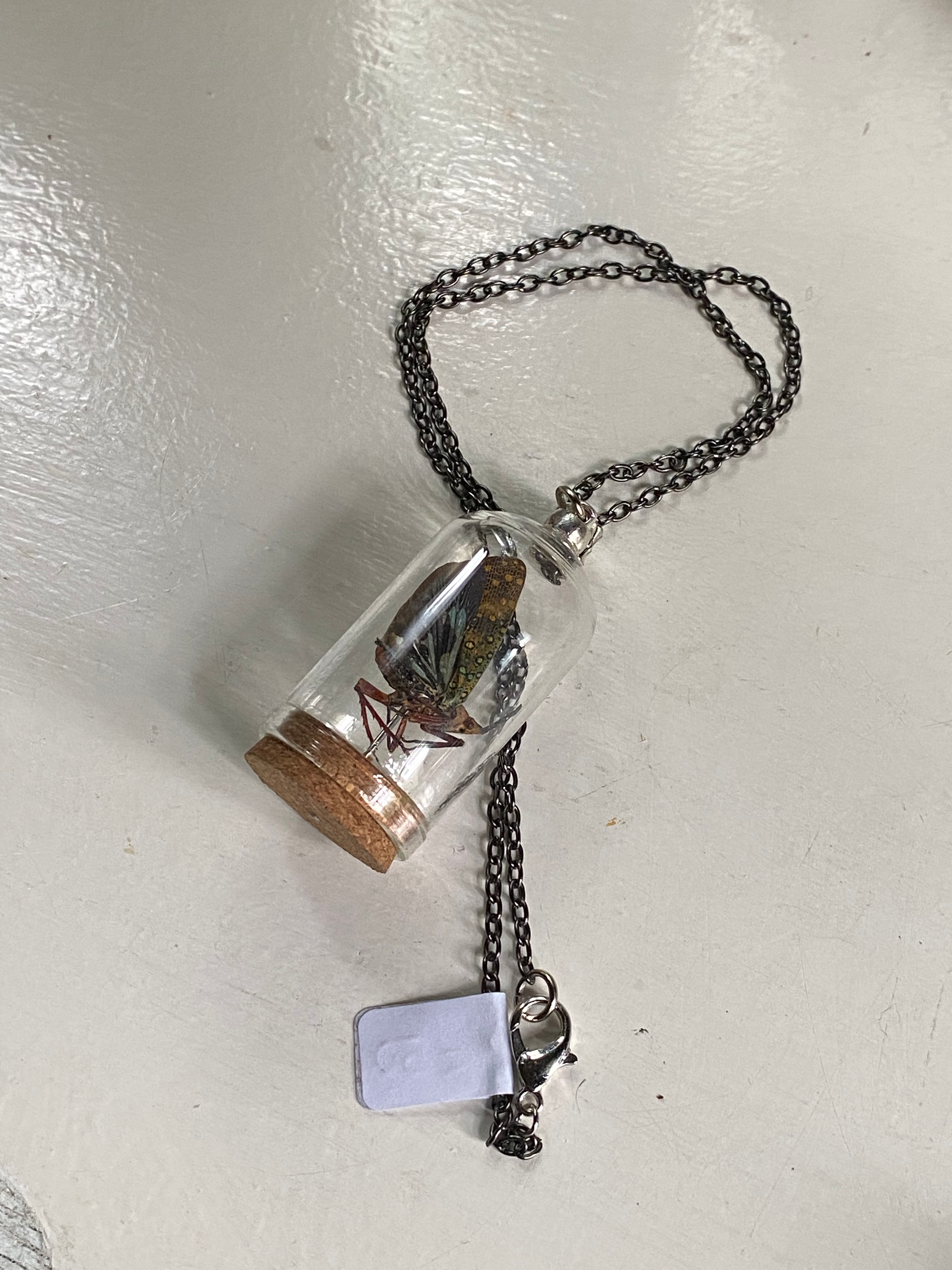 Long Nose Lantern Fly in Glass Dome Necklace image 5