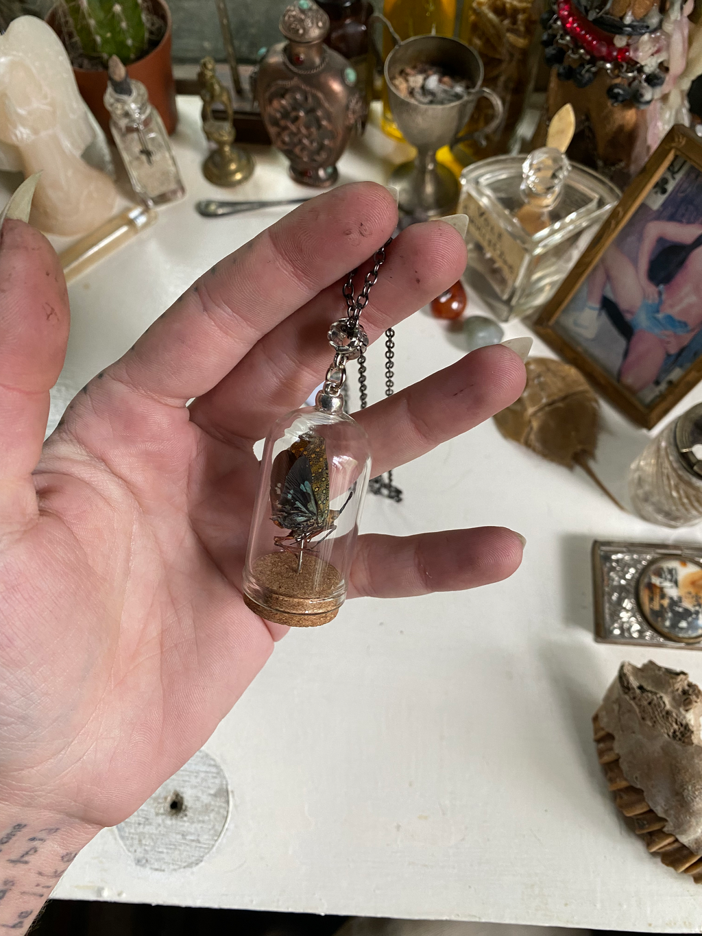Long Nose Lantern Fly in Glass Dome Necklace image 3