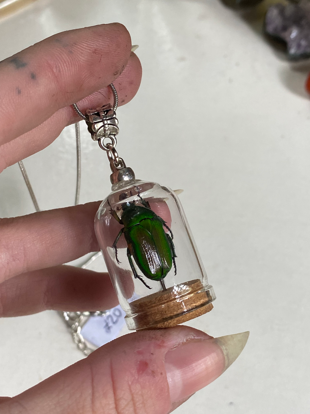 Green Scarab Beetle in Glass Dome Necklace image 3