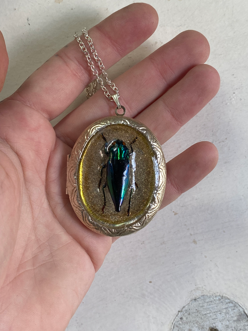 Beetle Locket with Mirror Necklace image 1