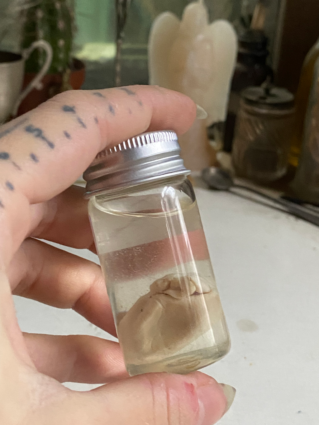 Rabbit Heart in a Small Jar image 0