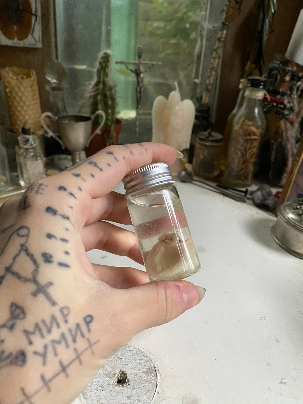 Rabbit Heart in a Small Jar image 1