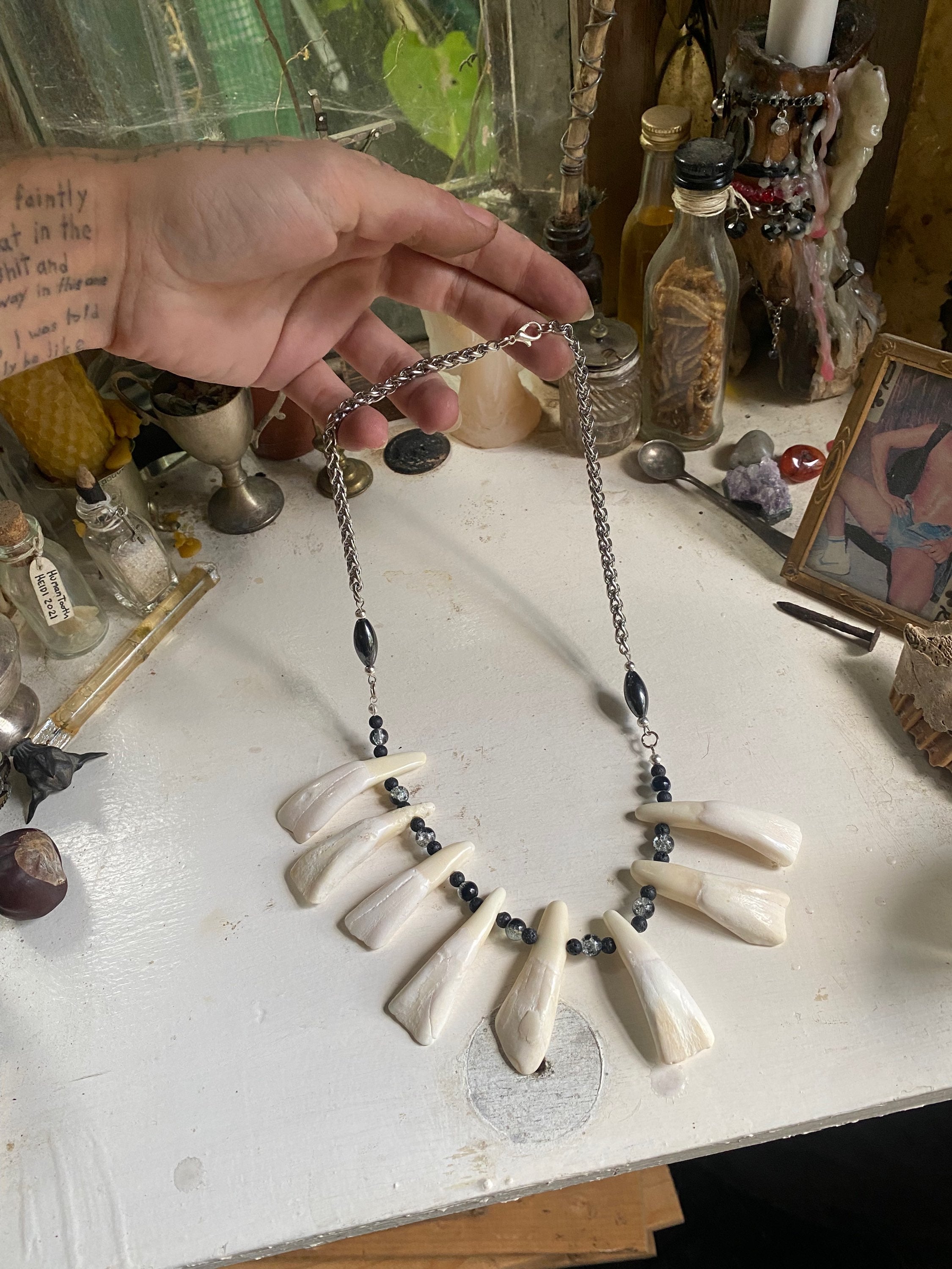 Large Buffalo Teeth Necklace image 4