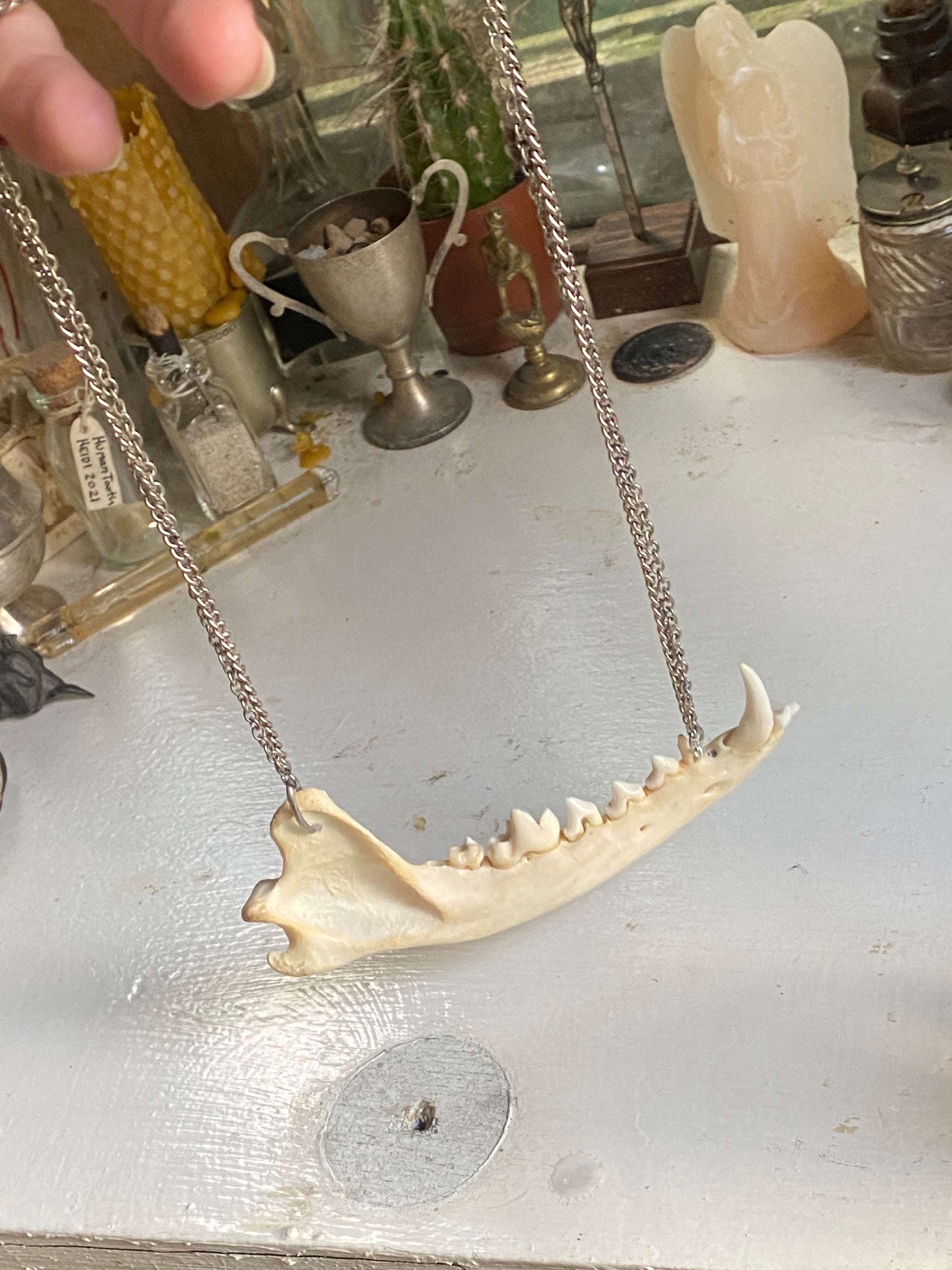 Fox Jaw Double Chain Necklace image 4