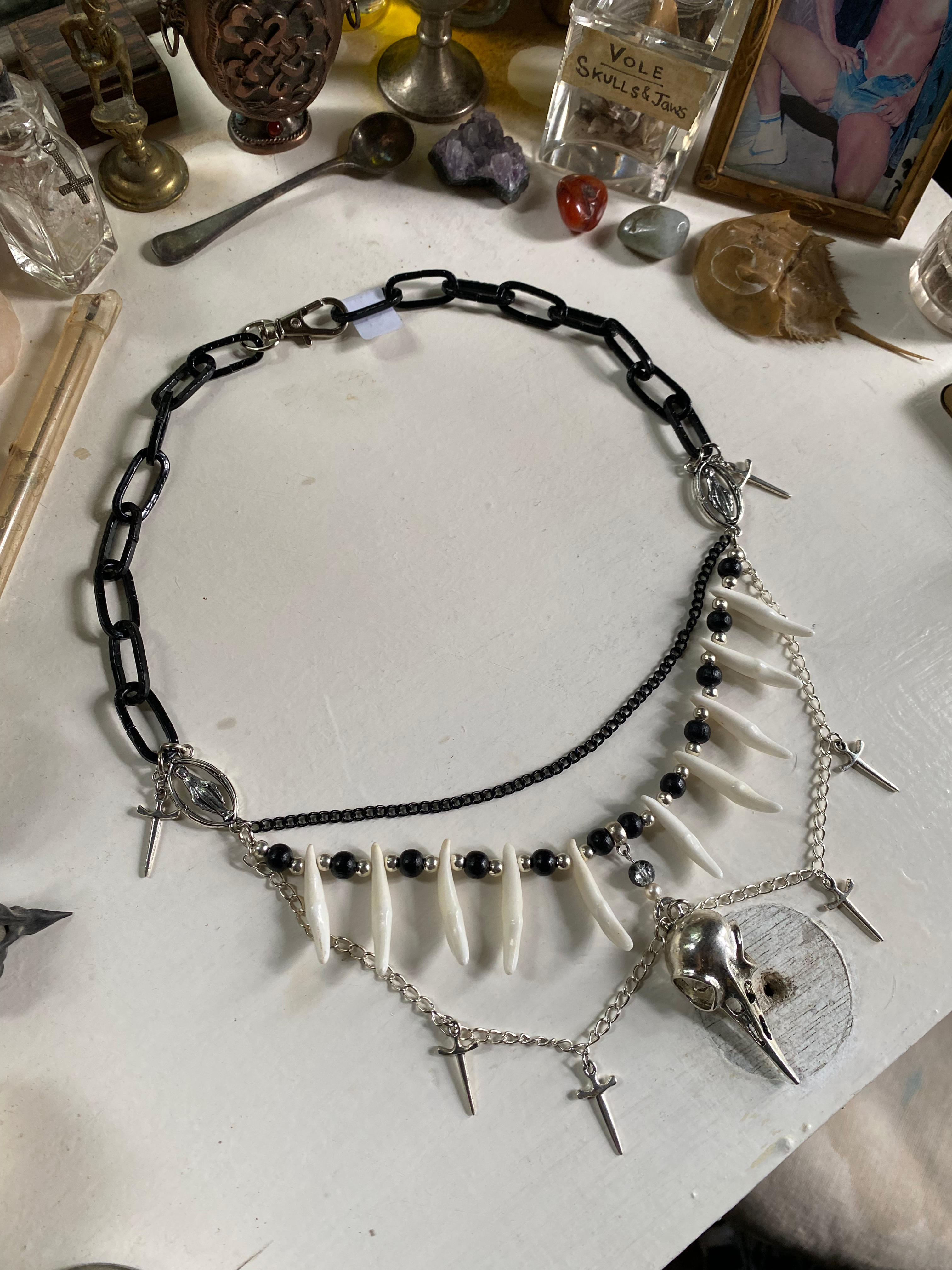 Coyote Teeth, Bird Skull and Chunky Black Chain image 6