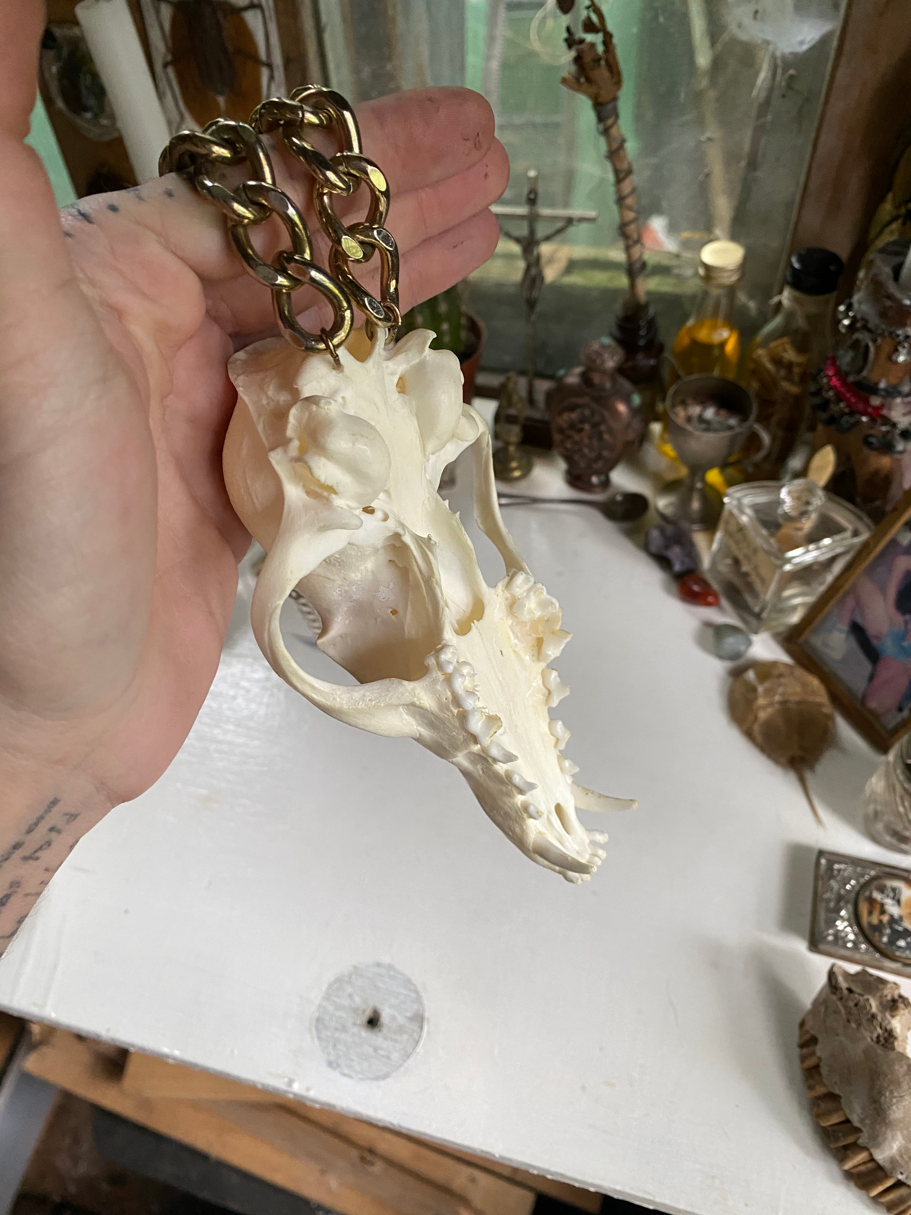 Large Fox Skull on Bronze Colour Chain image 4