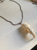 Muskrat Skull with Teeth on a Chain image 0