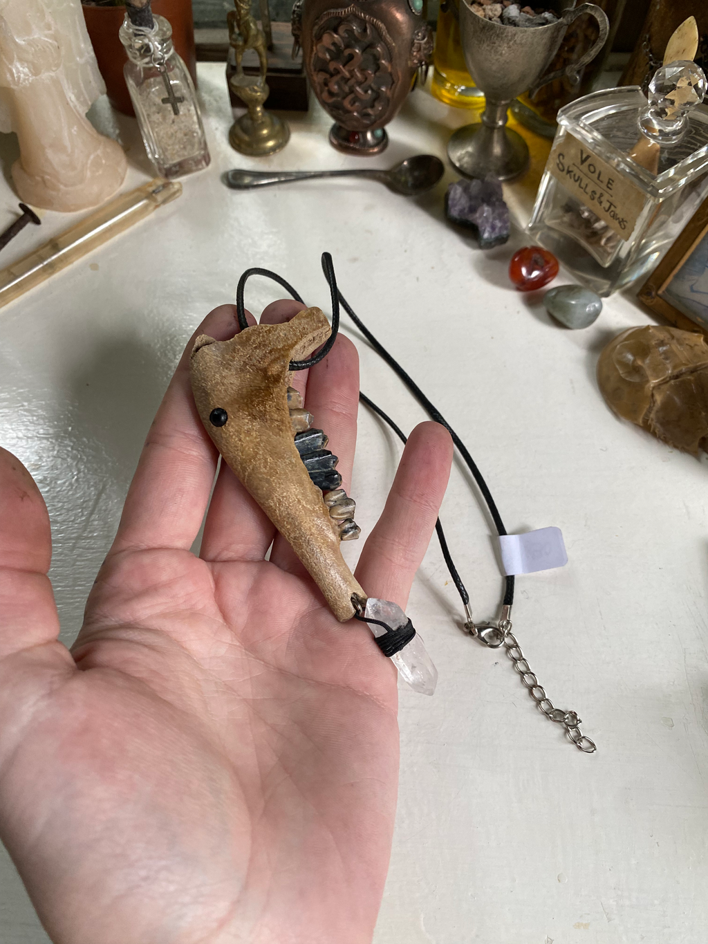 Baby Deer Jaw with Clear Quartz Necklace image 3