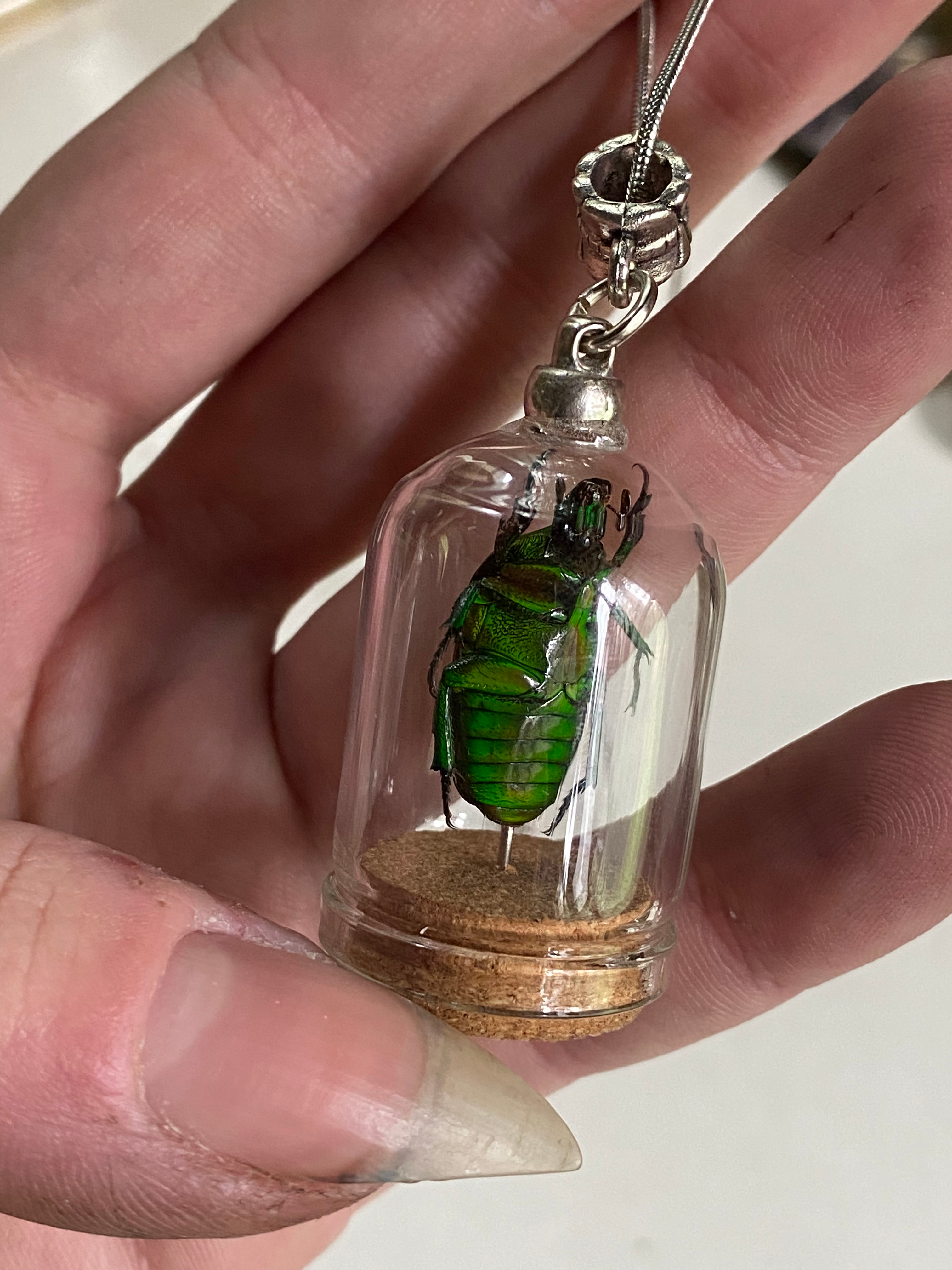 Green Scarab Beetle in Glass Dome Necklace image 4