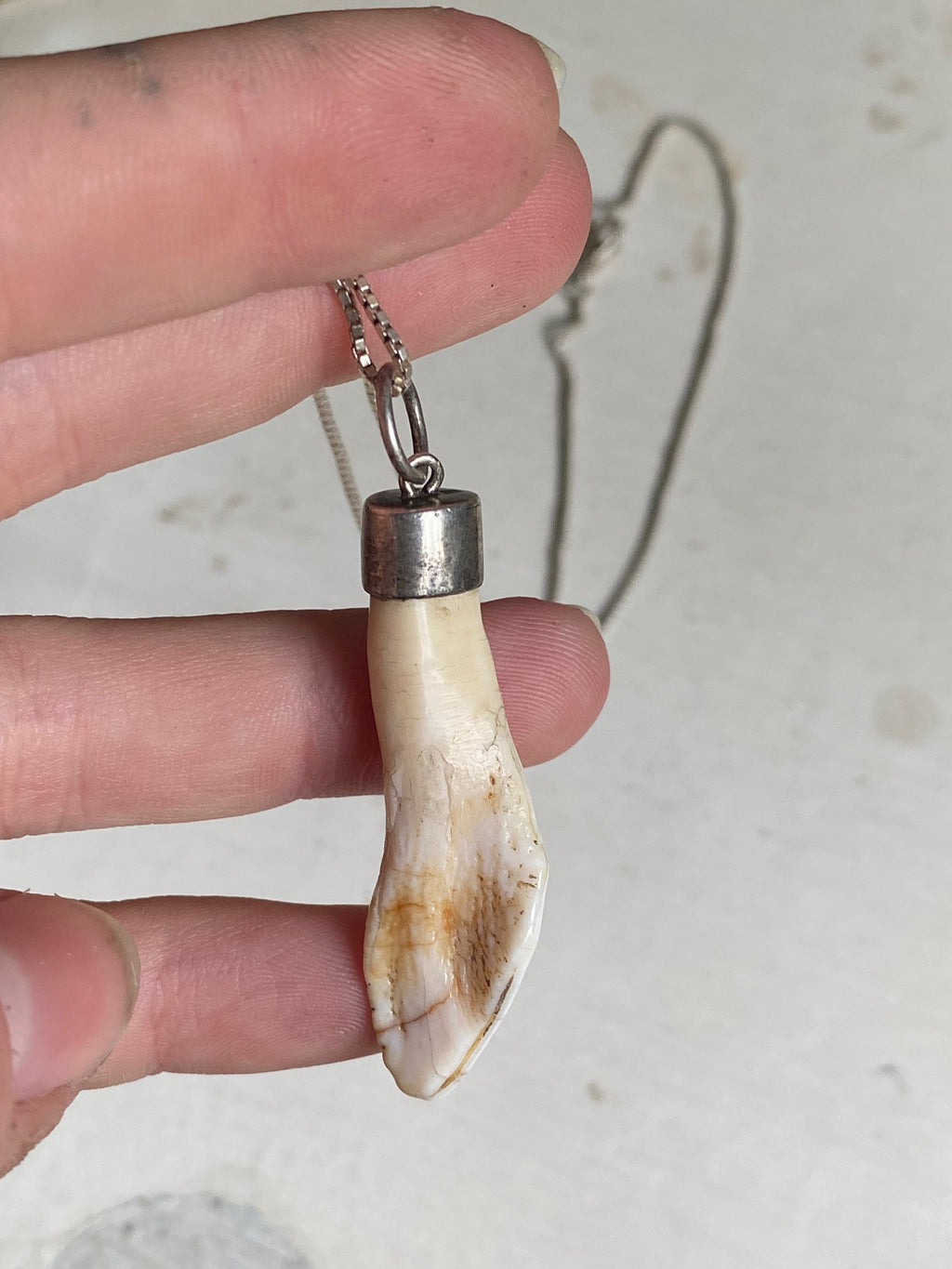 Sterling Silver Tooth Pendant image 4