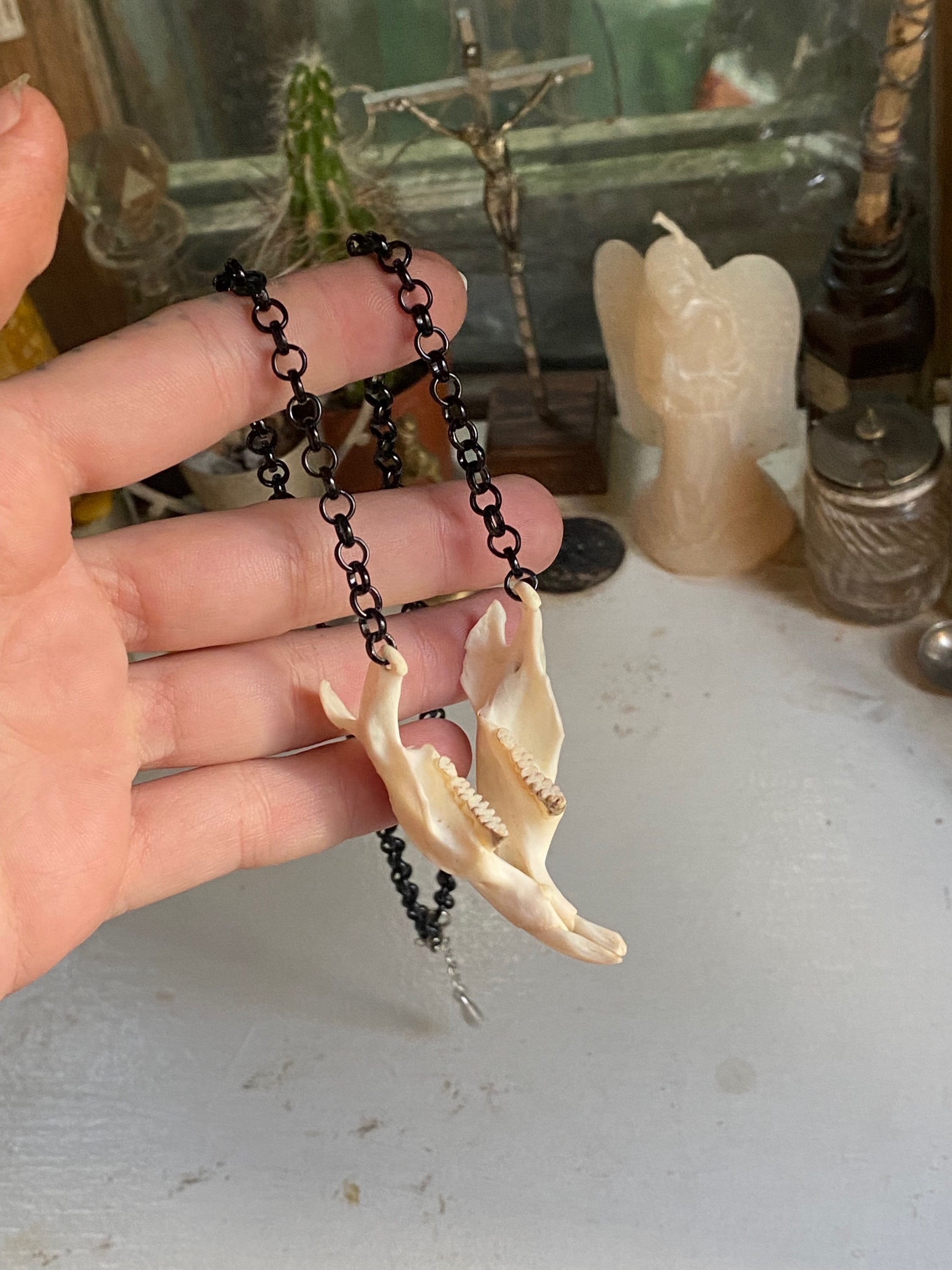 Muskrat Lower Jaw with Teeth Necklace image 5