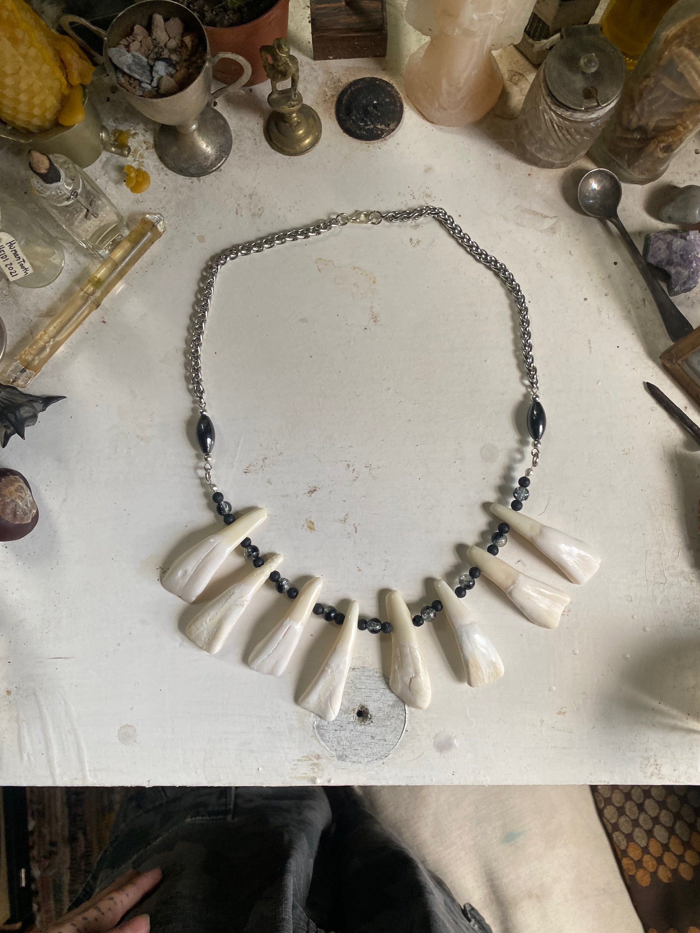 Large Buffalo Teeth Necklace image 0