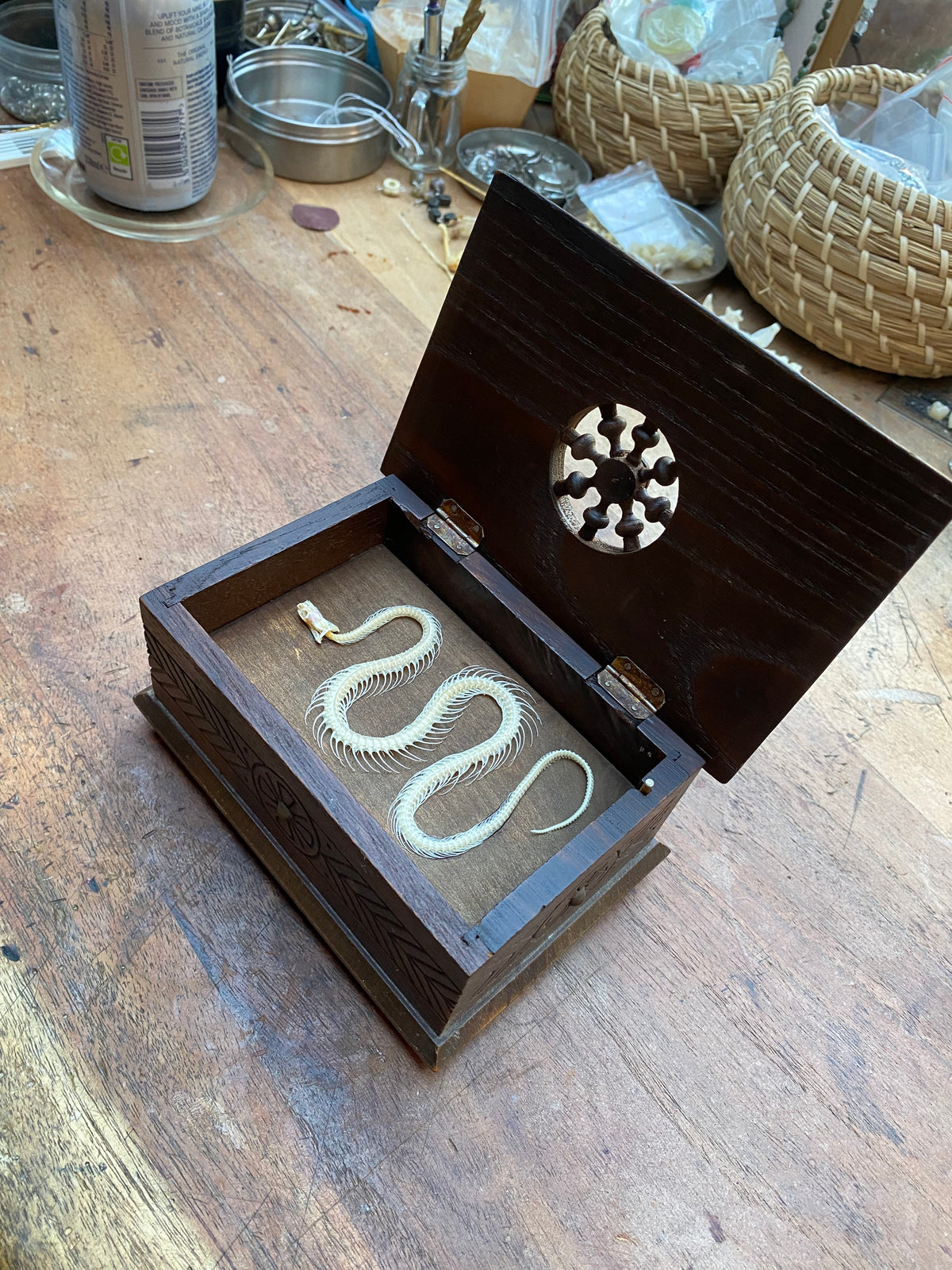 Wooden Musical Box with Snake Skeleton