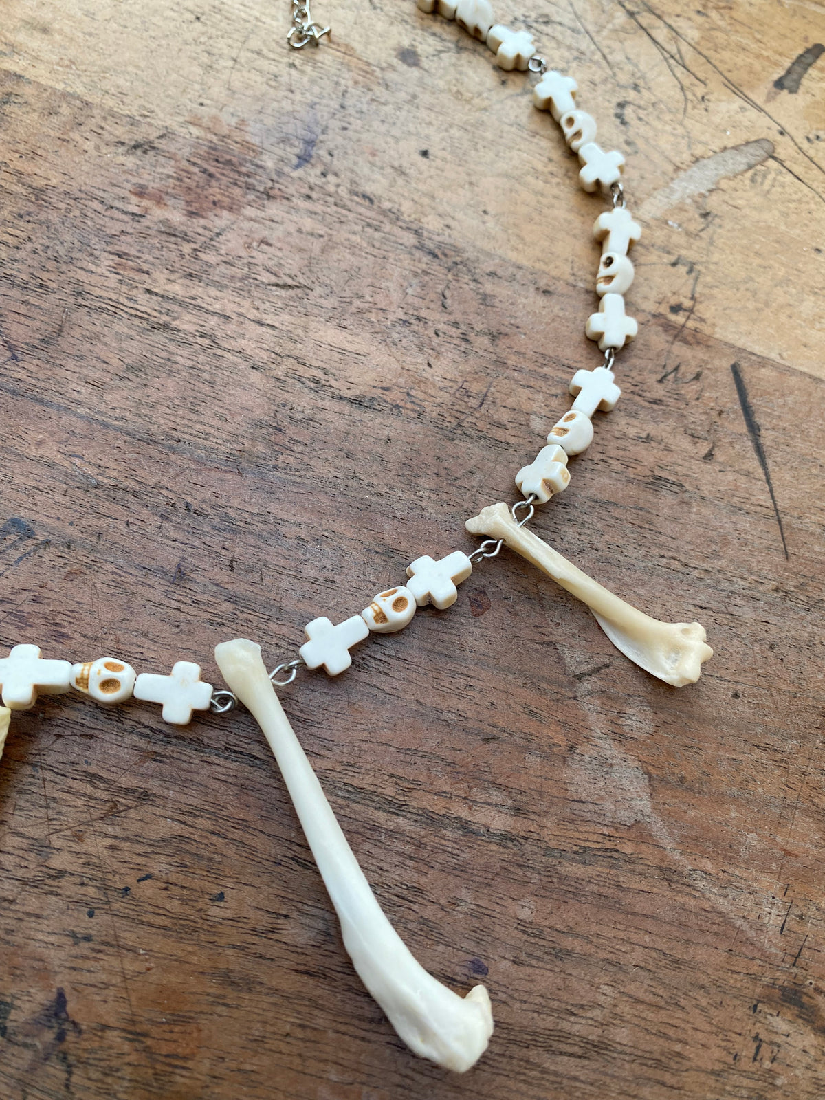 Fox Paw Bones and Squirrel Femurs Necklace