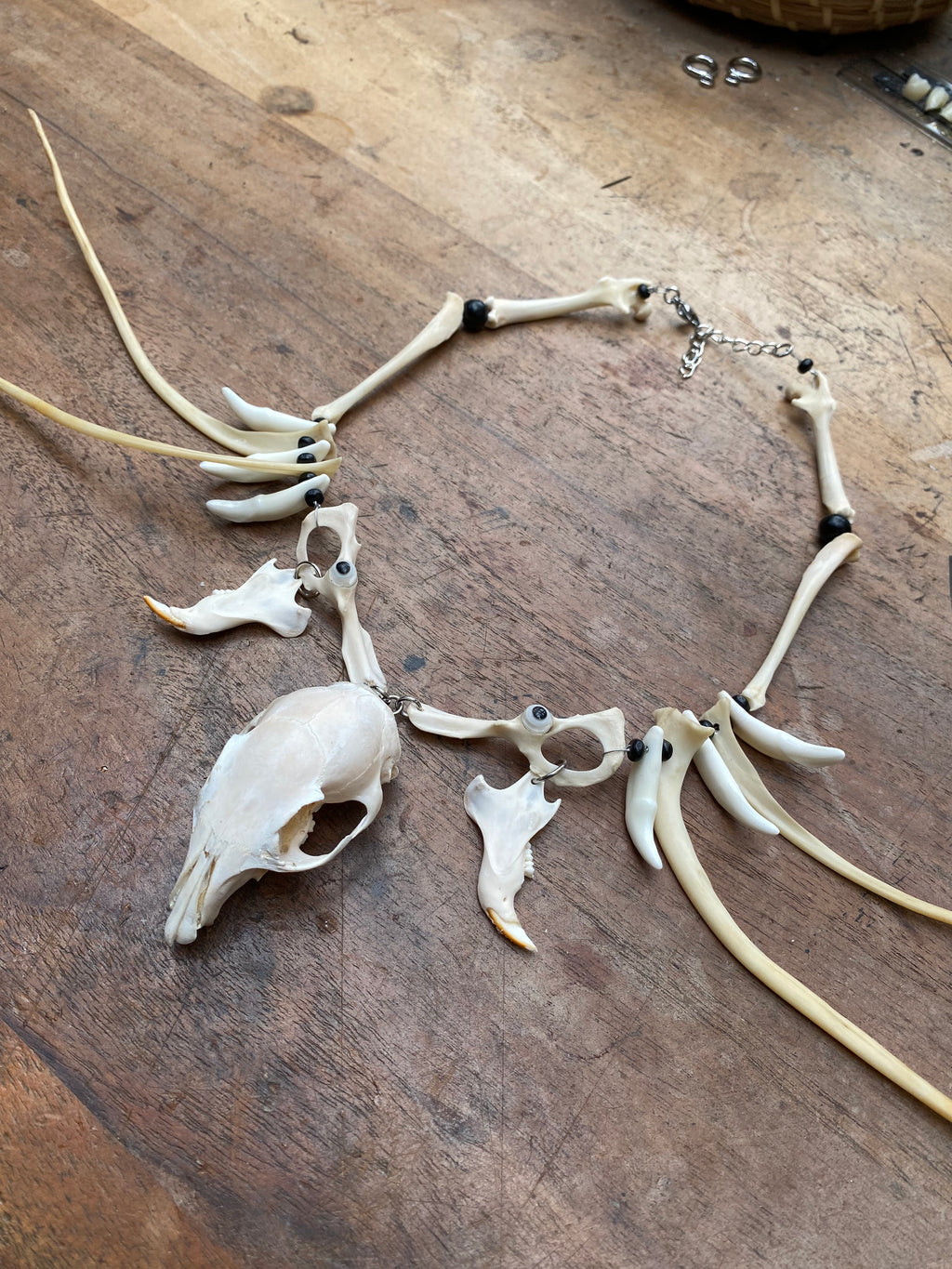 Squirrel Skull and Bones Necklace