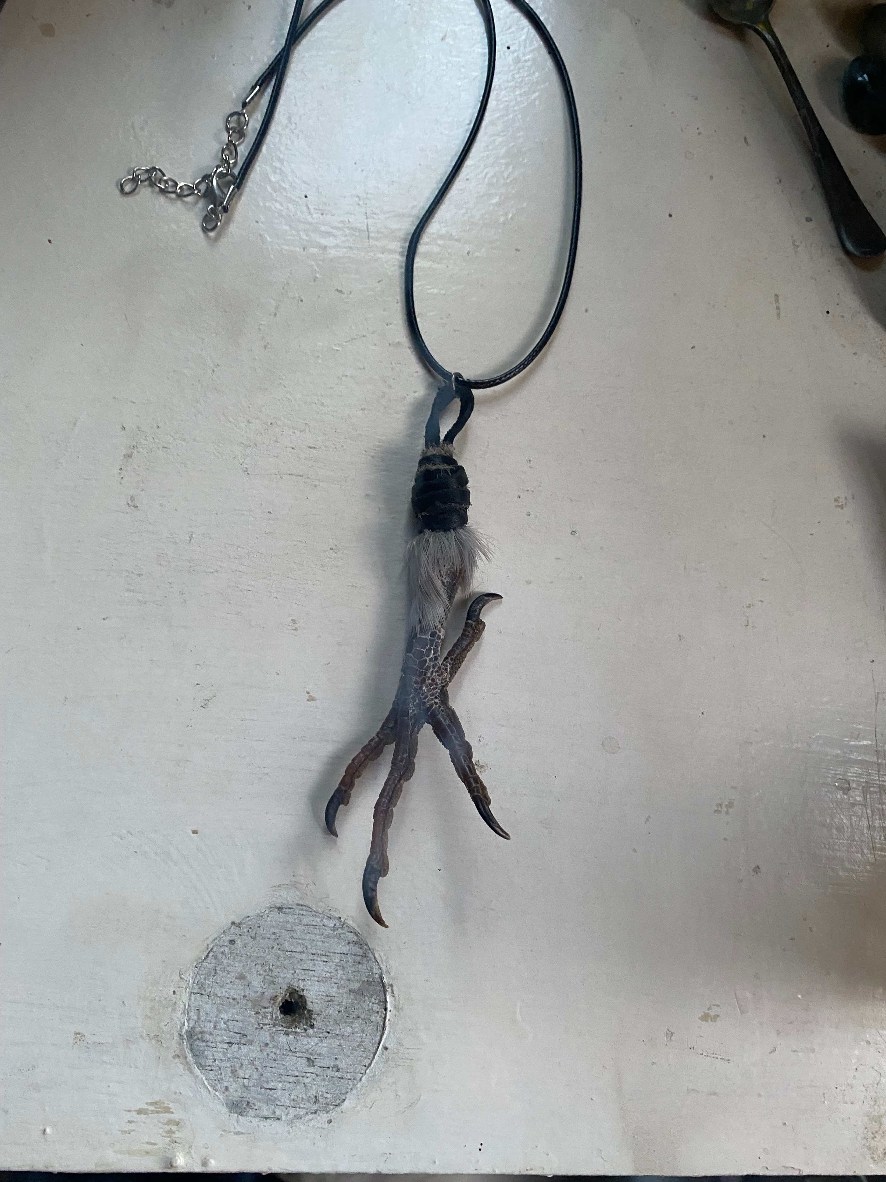 Bird Foot Leather Necklace image 1